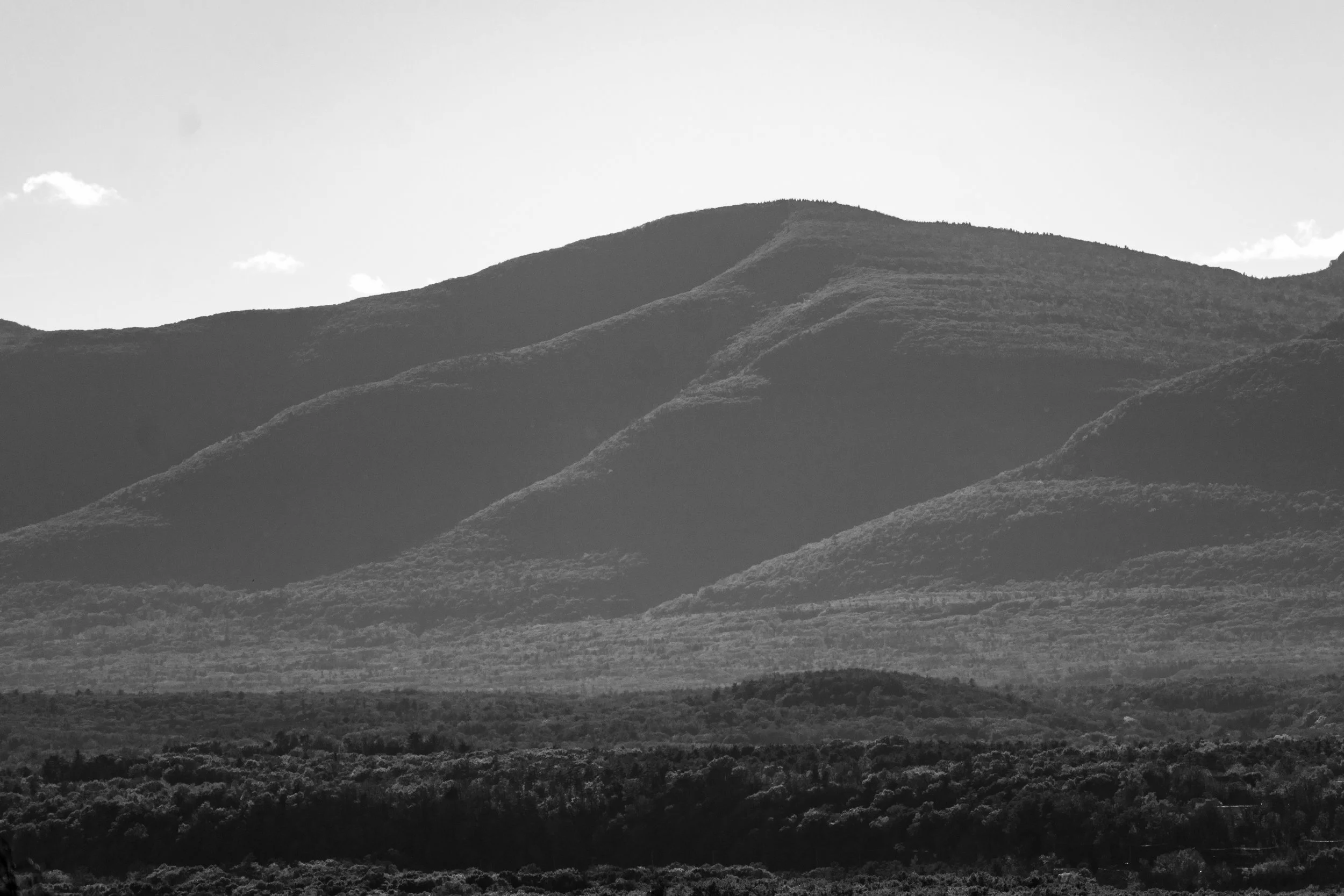 DSC_0076-3.jpg