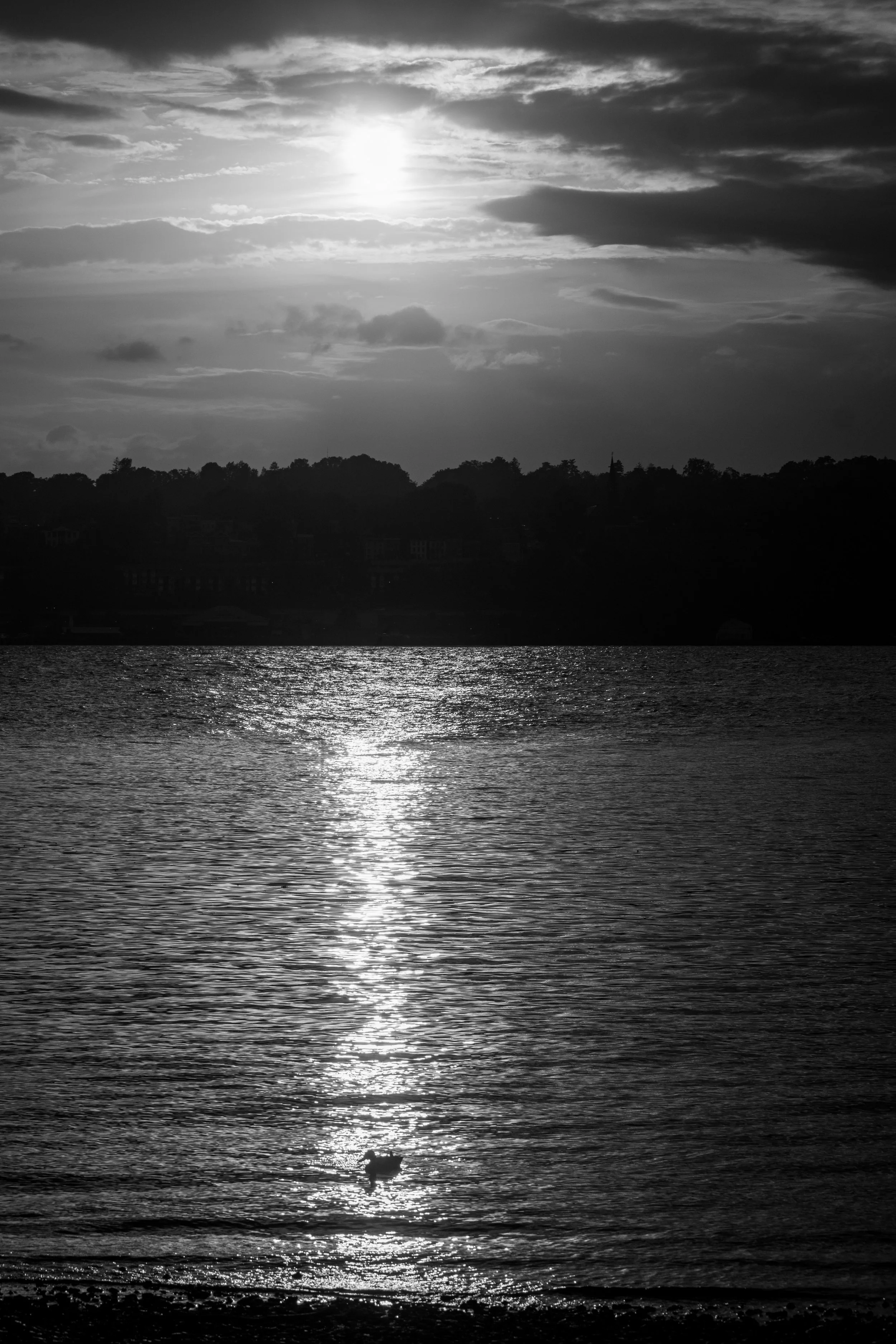 DSC_0167.jpg