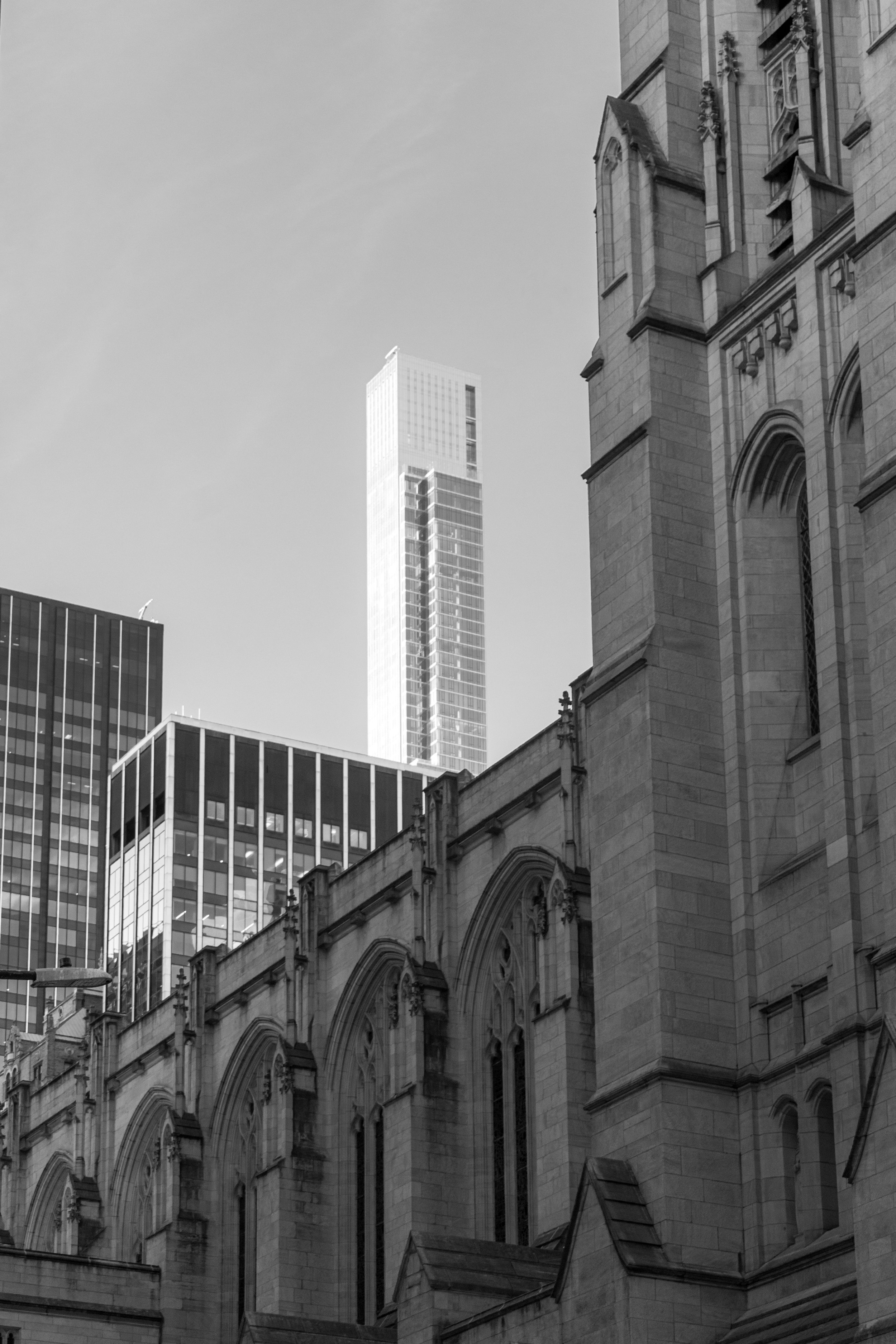 DSC_0220-2.jpg
