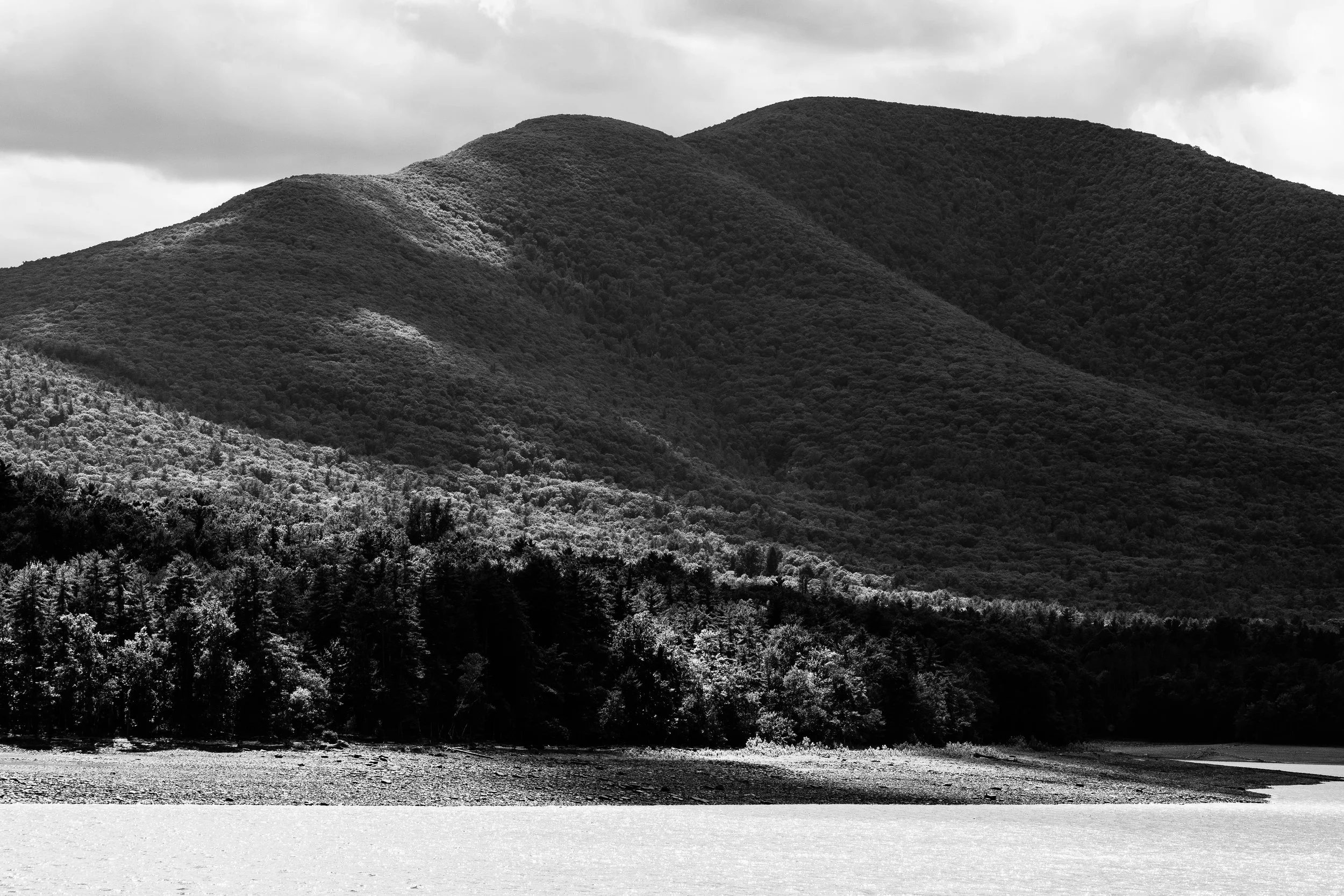 DSC_0365.jpg