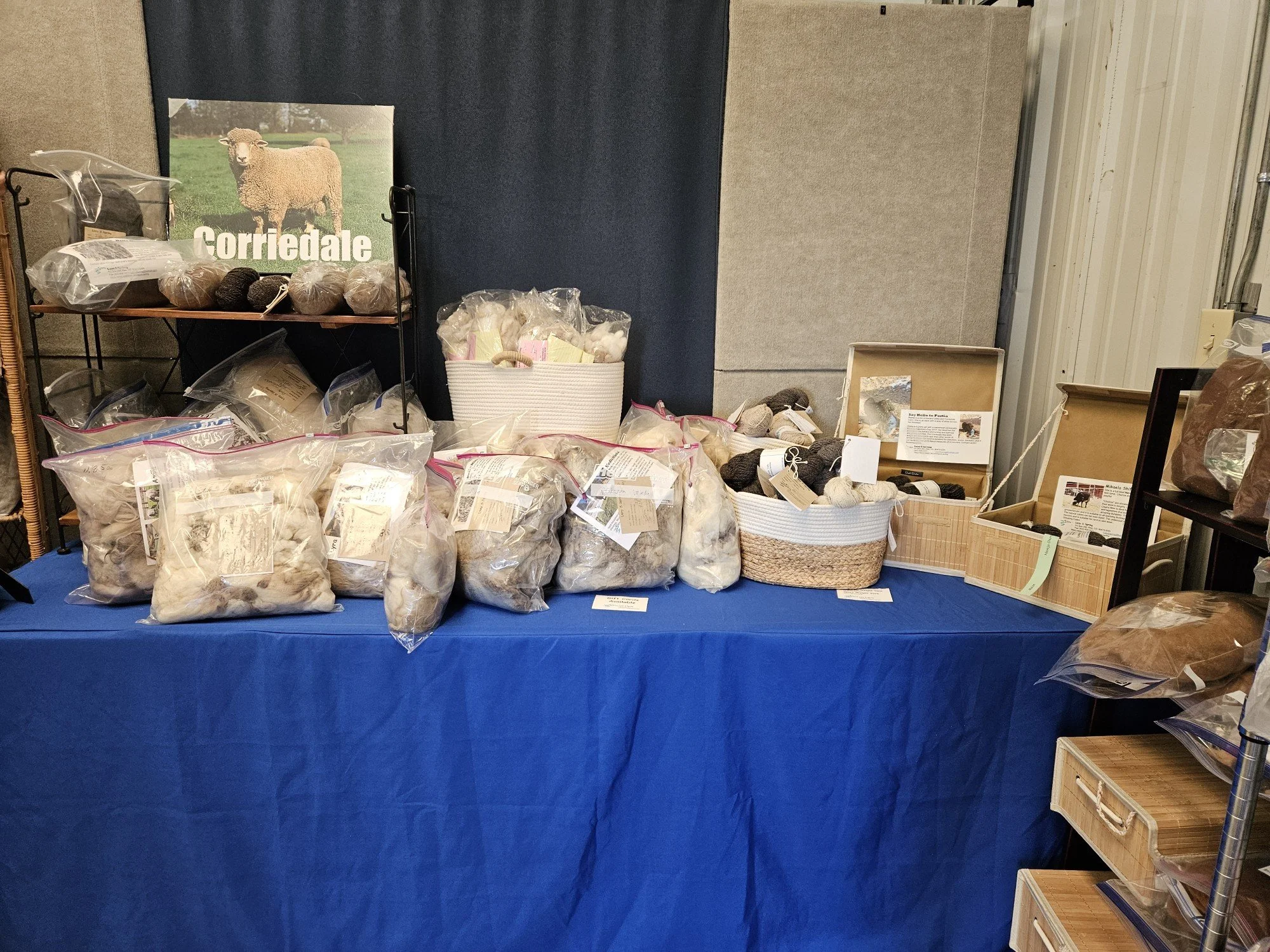 Rocky Mtn Nat Colored Sheep Breeders