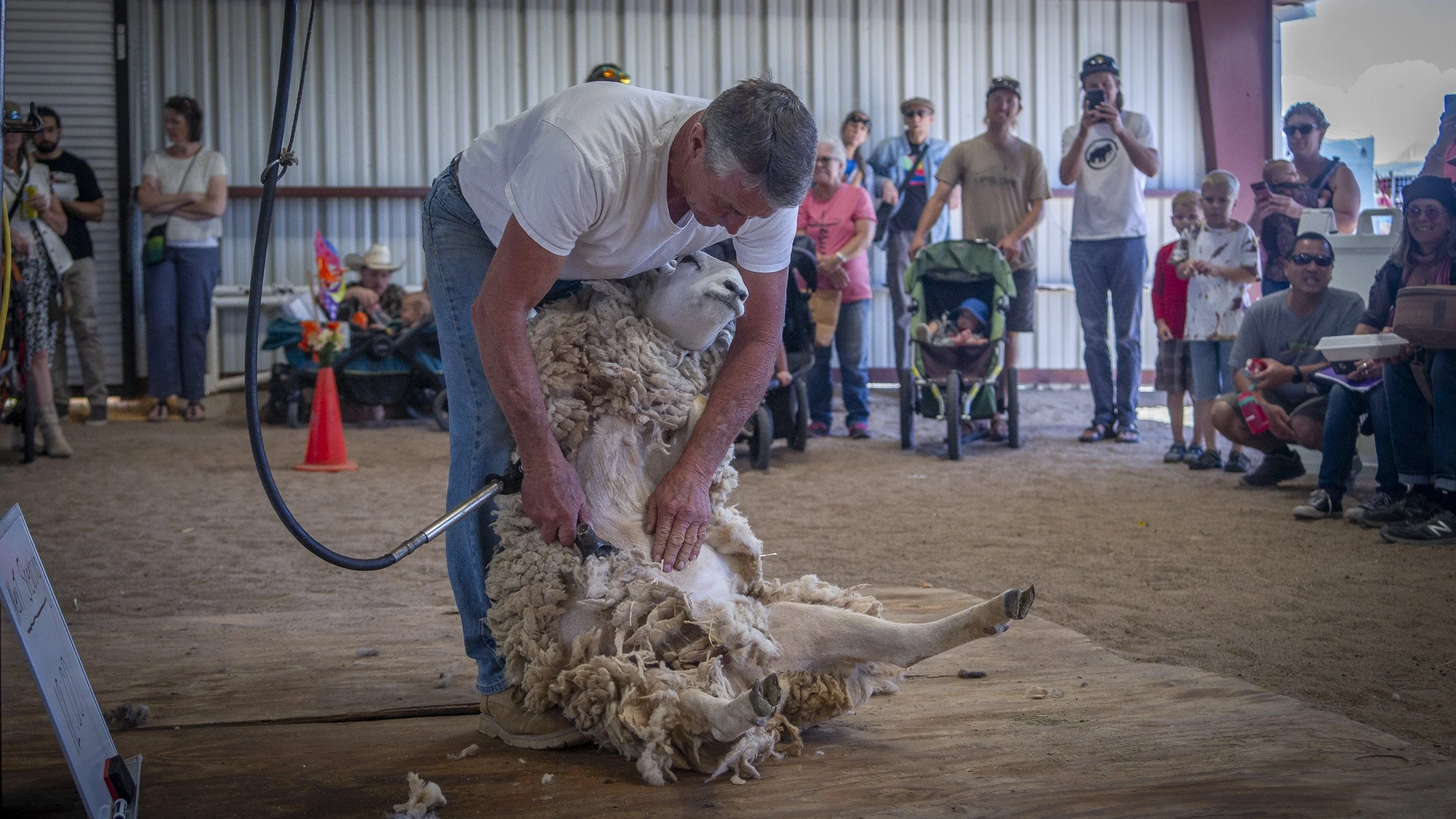 2022_mavwa_wool_festival-01-Oct-2022-_DSC9173.jpg