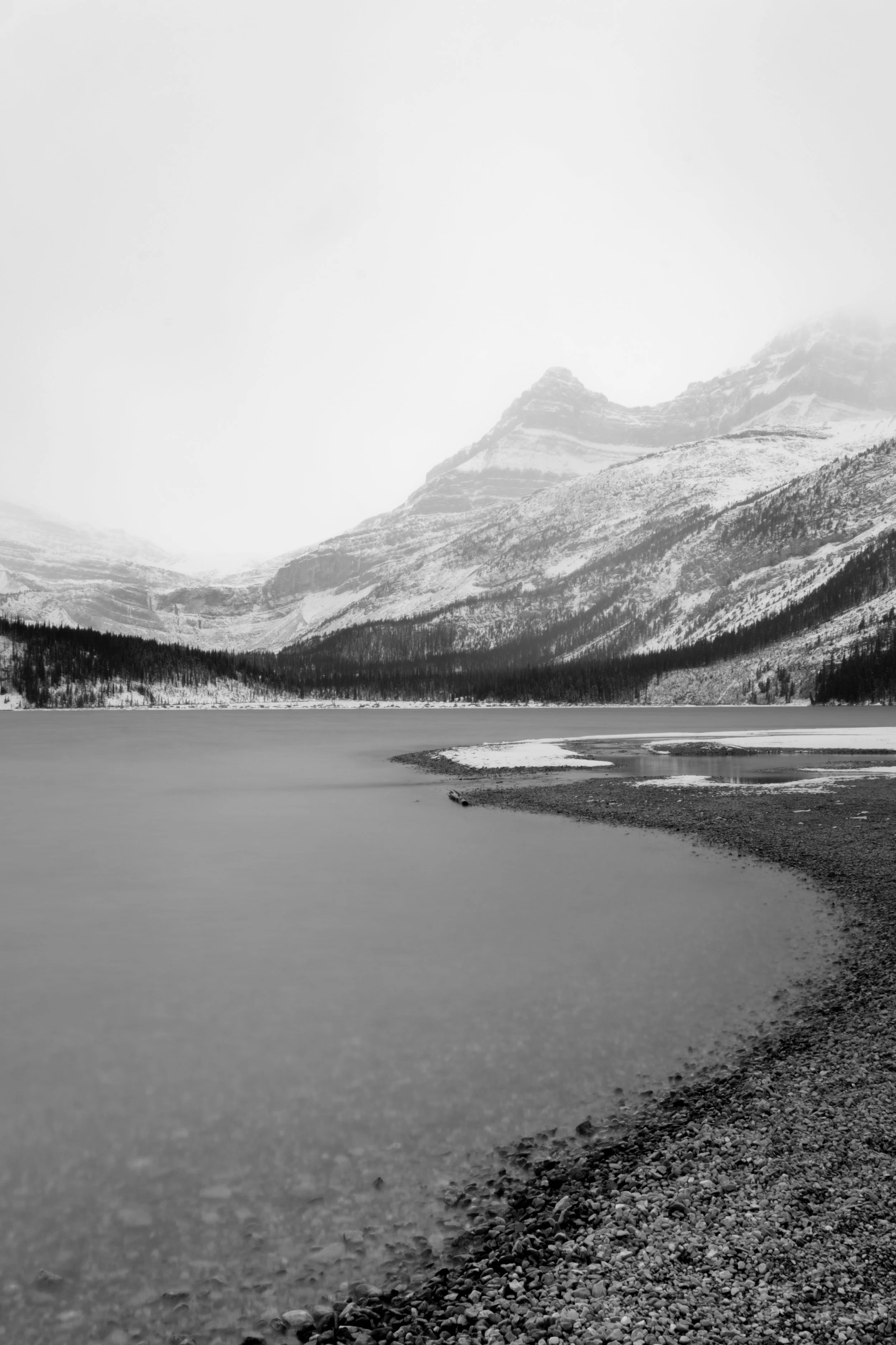 Bow Lake, 2025