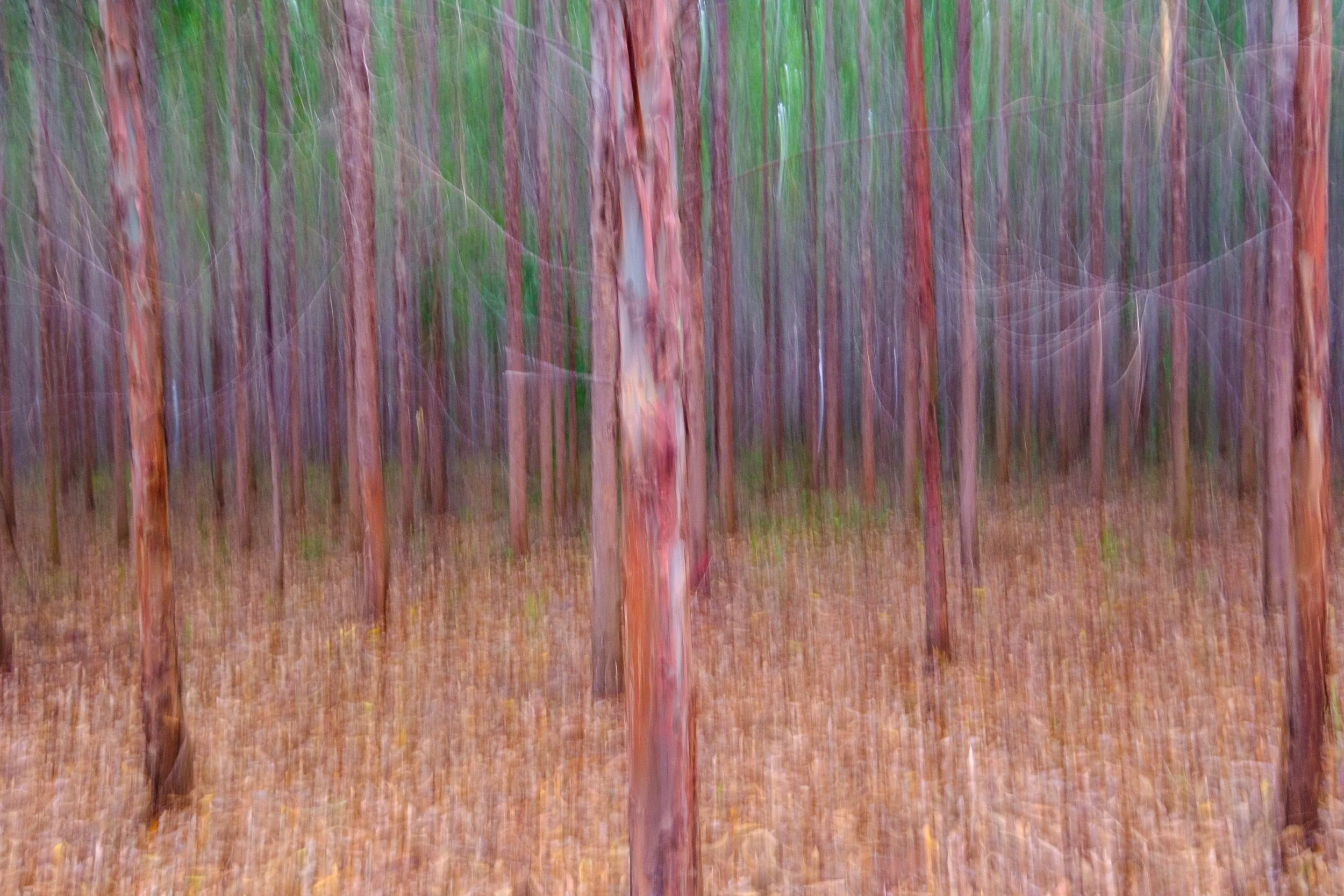 DSCF1378.jpg