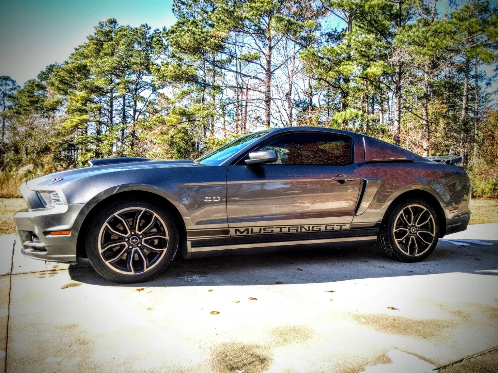 SHOP SERVICES: Automotive Diagnostic, Repair and Performance