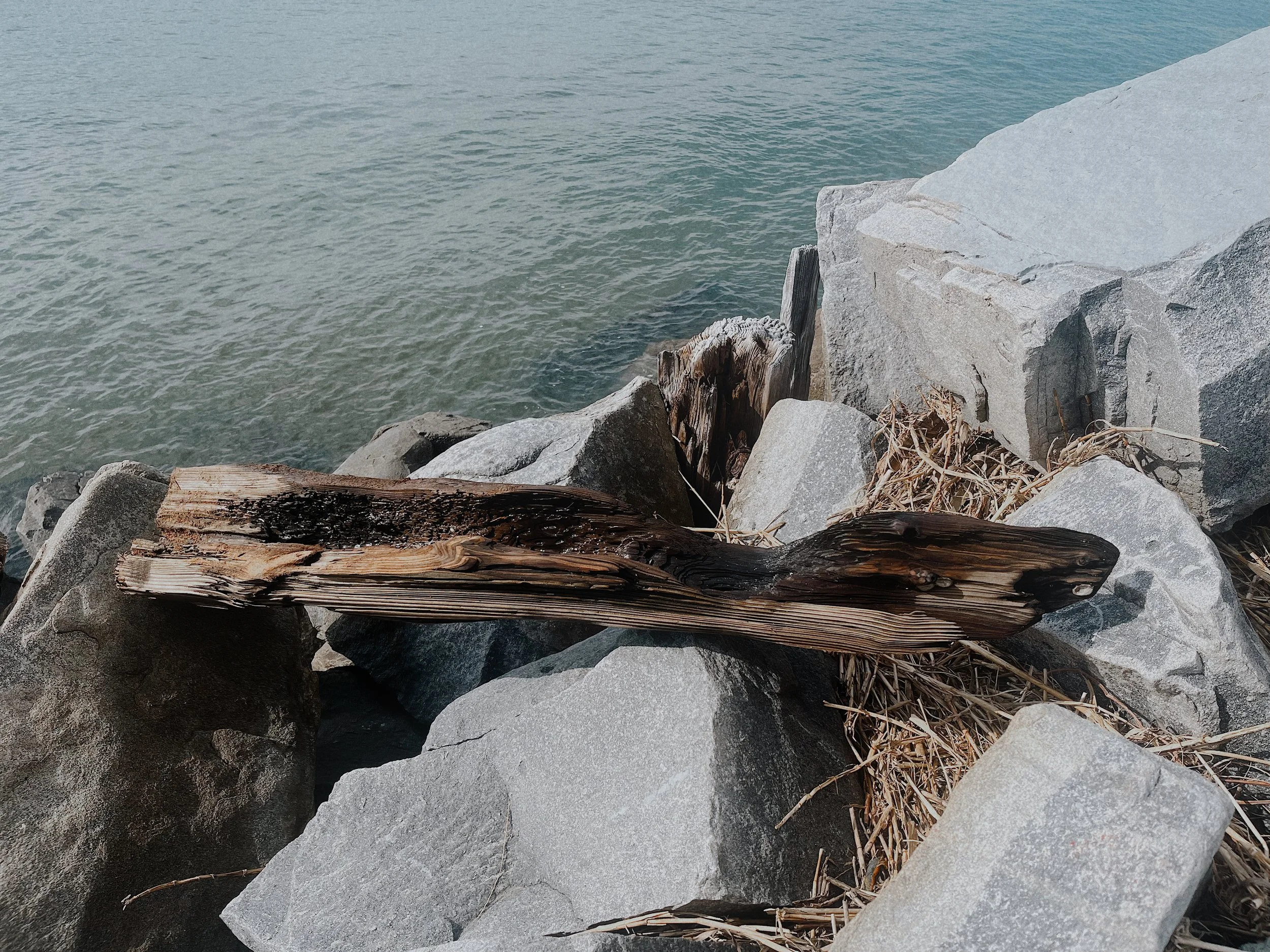 foraged drift wood for bespoke art project from Sullivans island, SC