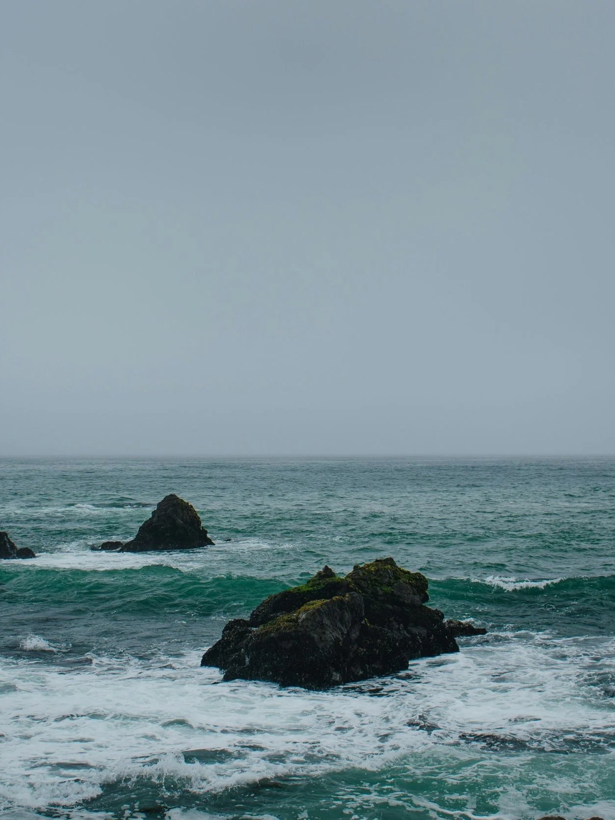 Digital Detox with Rest &amp; Wild