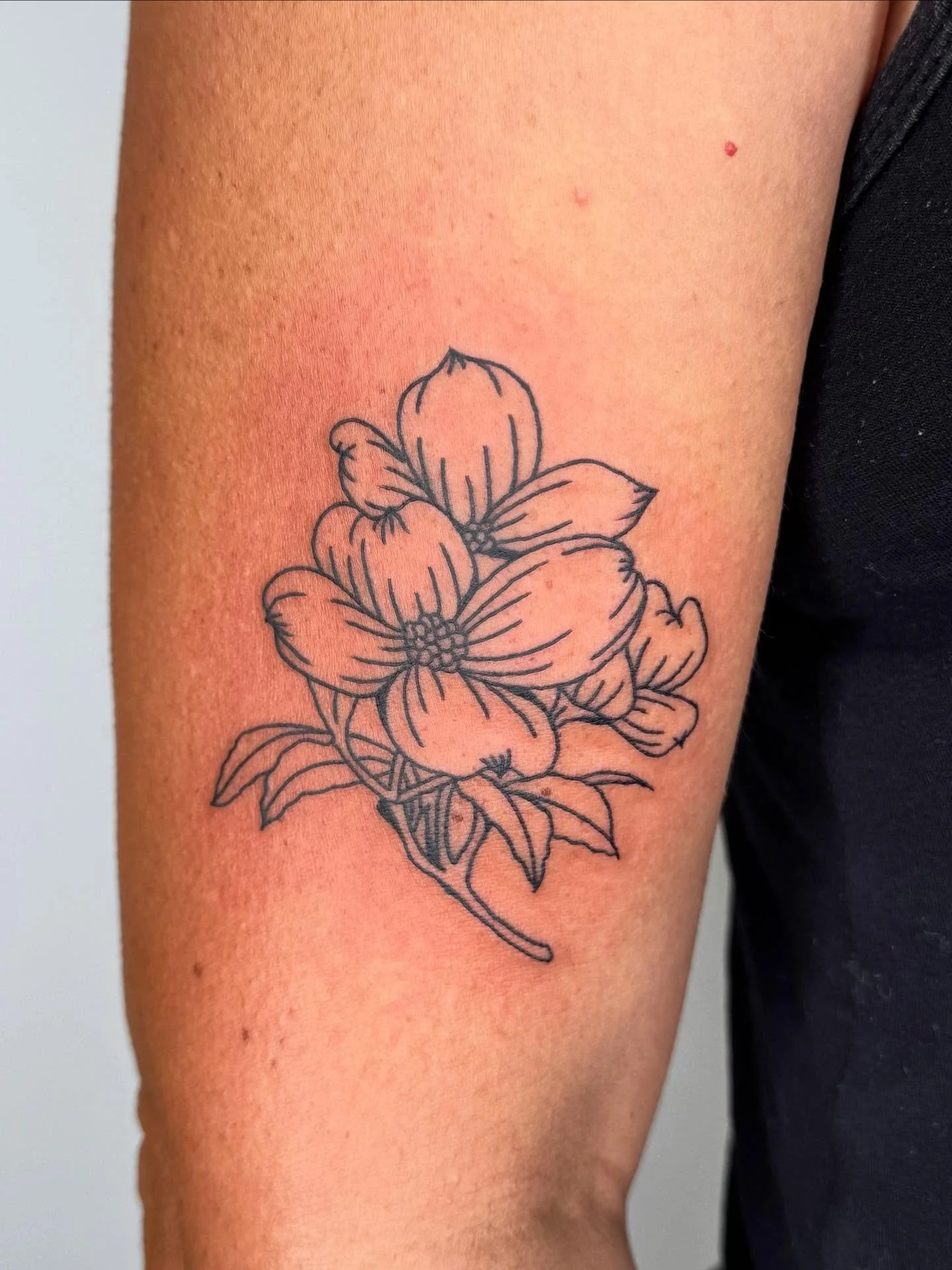 Recent botanicals, one flash one custom 💐 still have a few slots left in October 
.
.
.
.
#losangelestattoo #losangelestattooartist #latattooartist #latattoo #sandiegotattooartist #sandiegotattoo #botanicaltattoos #flowertattoo #dogwoodtattoo #jasmi