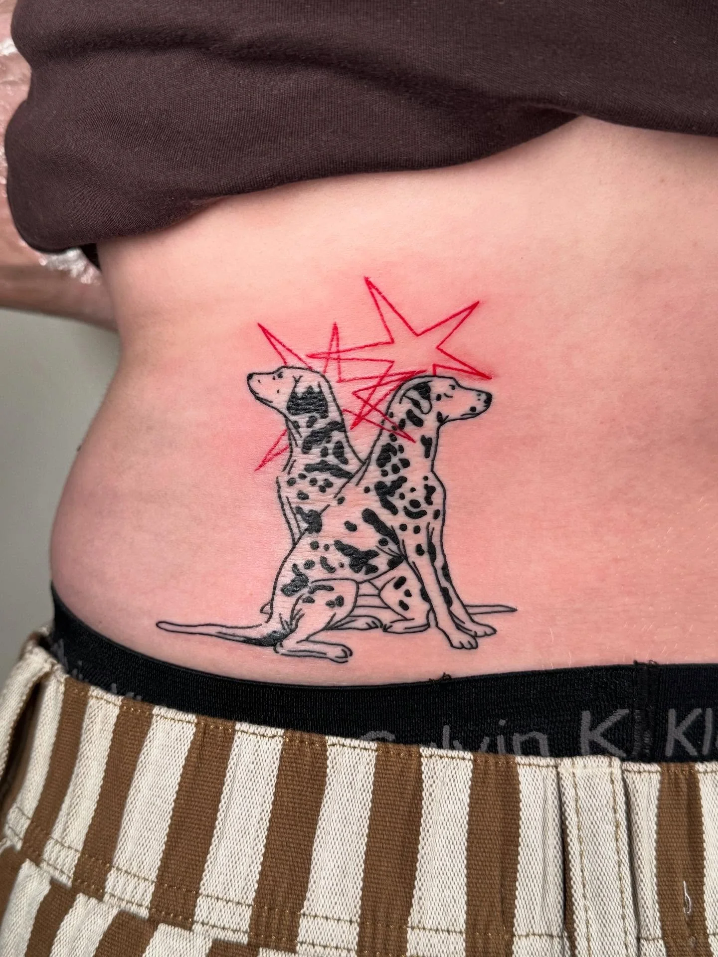 Austin tattoo dump part deux 🍅 
.
.
.
.
#losangelestattooartist #losangelestattoo #latattoo #latattooartist #sandiegotattooartist #sandiegotattoo #tomatotattoo #dalmationtattoo #eagletattoo