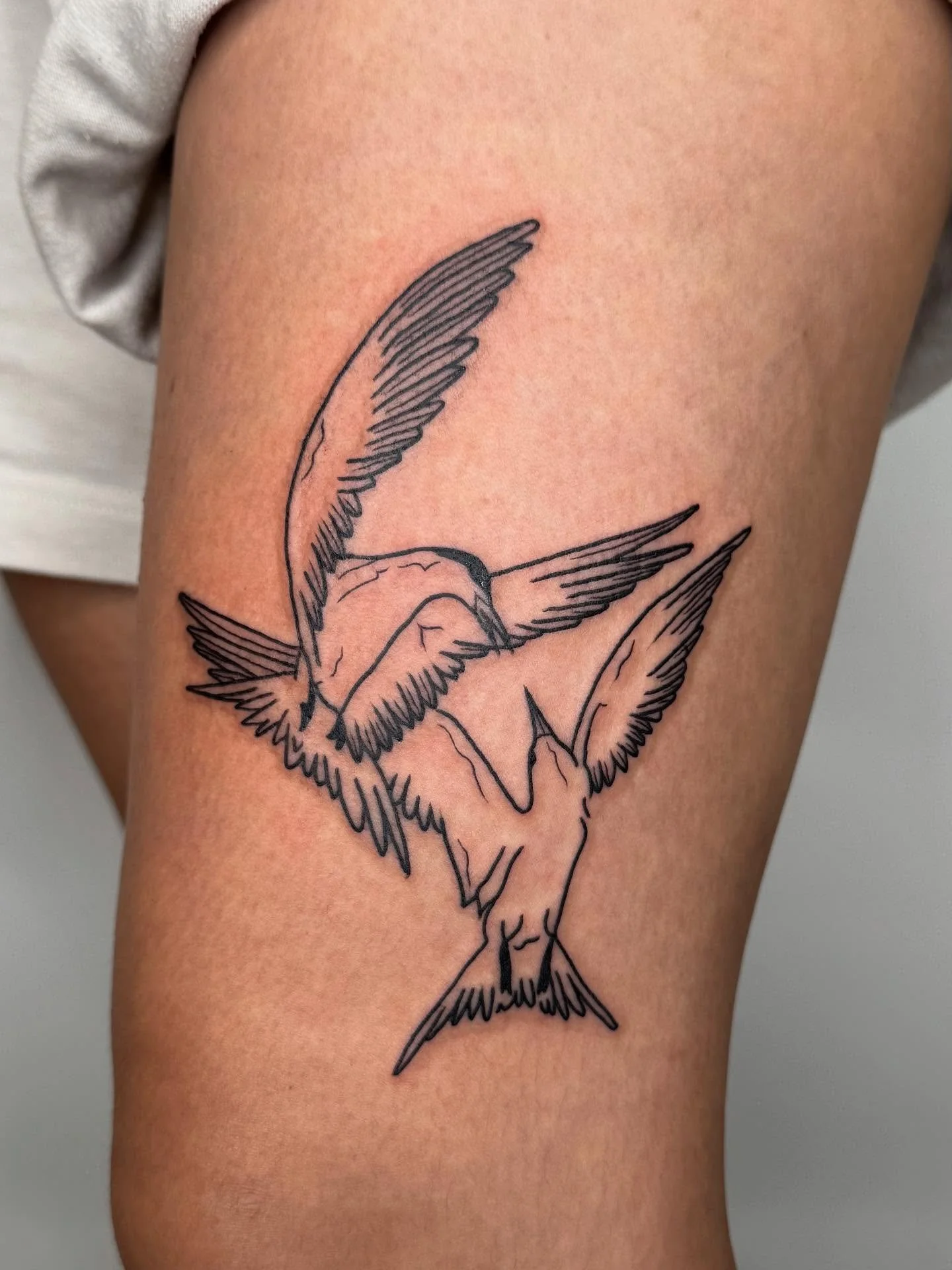 These guys found the perfect home 🕊️
.
.
.
.
#losangelestattoo #losangelestattooartist #latattoo #latattooartist #sandiegotattooartist #sandiegotattoo #birdtattoo #thightattoo