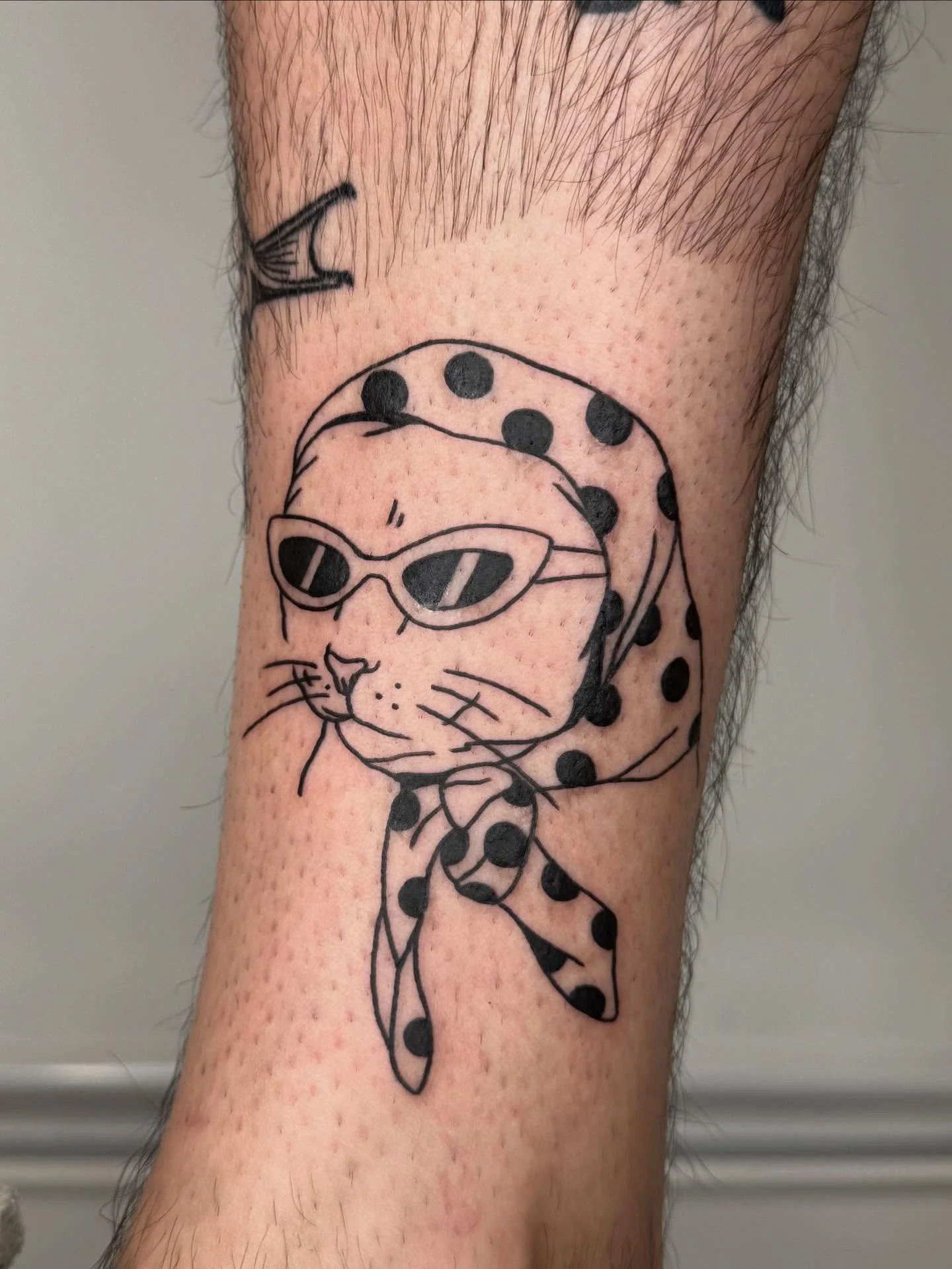 Books open for 2026 in one week 💐 you too can be this cool 😎
.
.
.
.
#losangelestattoo #losangelestattooartist #latattooartist #latattoo #sandiegotattooartist #sandiegotattoo #cattattoos