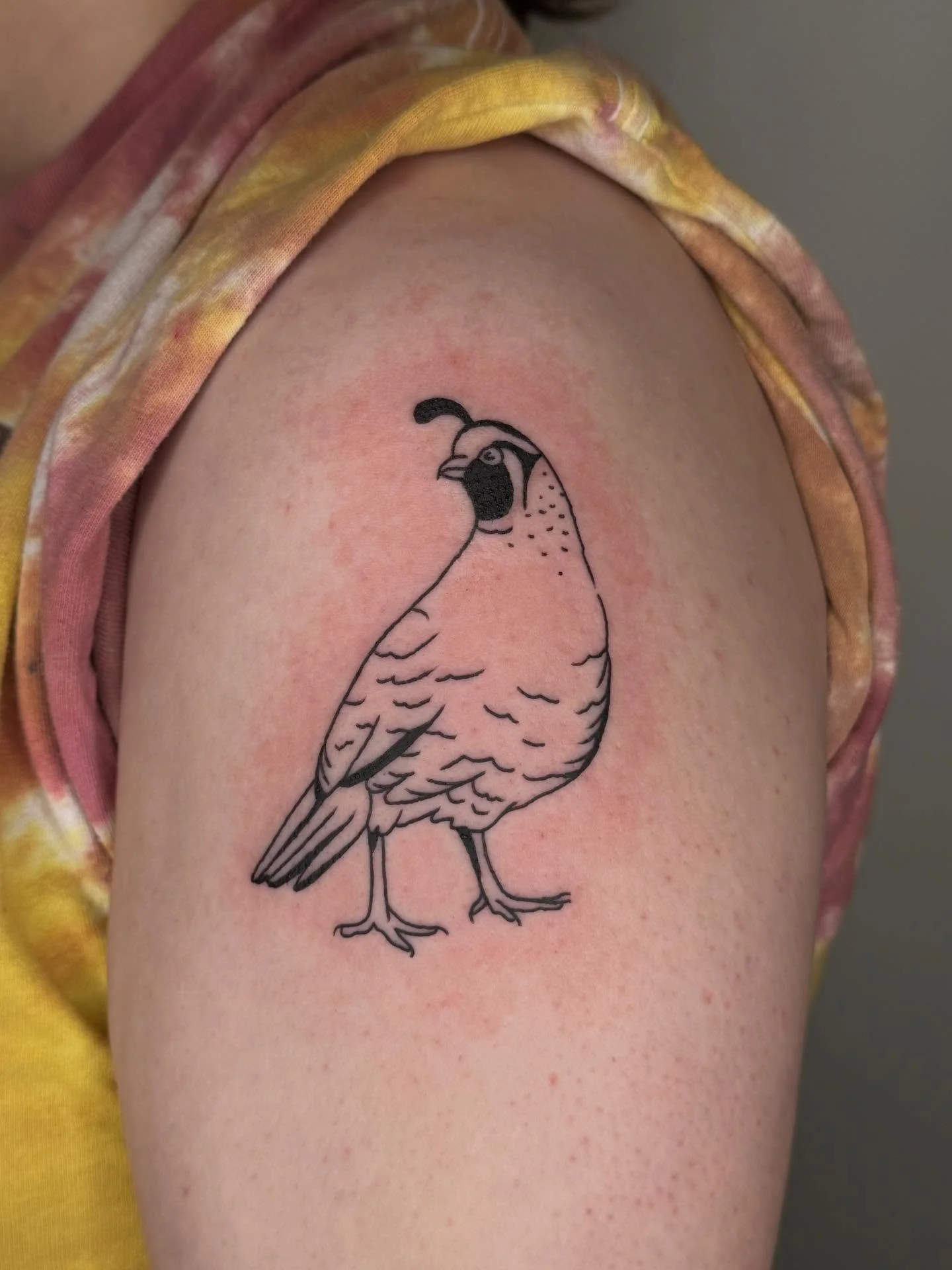 Roundup of the last tattoos I did in 2025 :P swipe to the end to see how I drew this custom pothos to add on to an existing vine. We tweaked the shape slightly and included one more baby leaf during the appointment 🍃 and we left space for a potentia