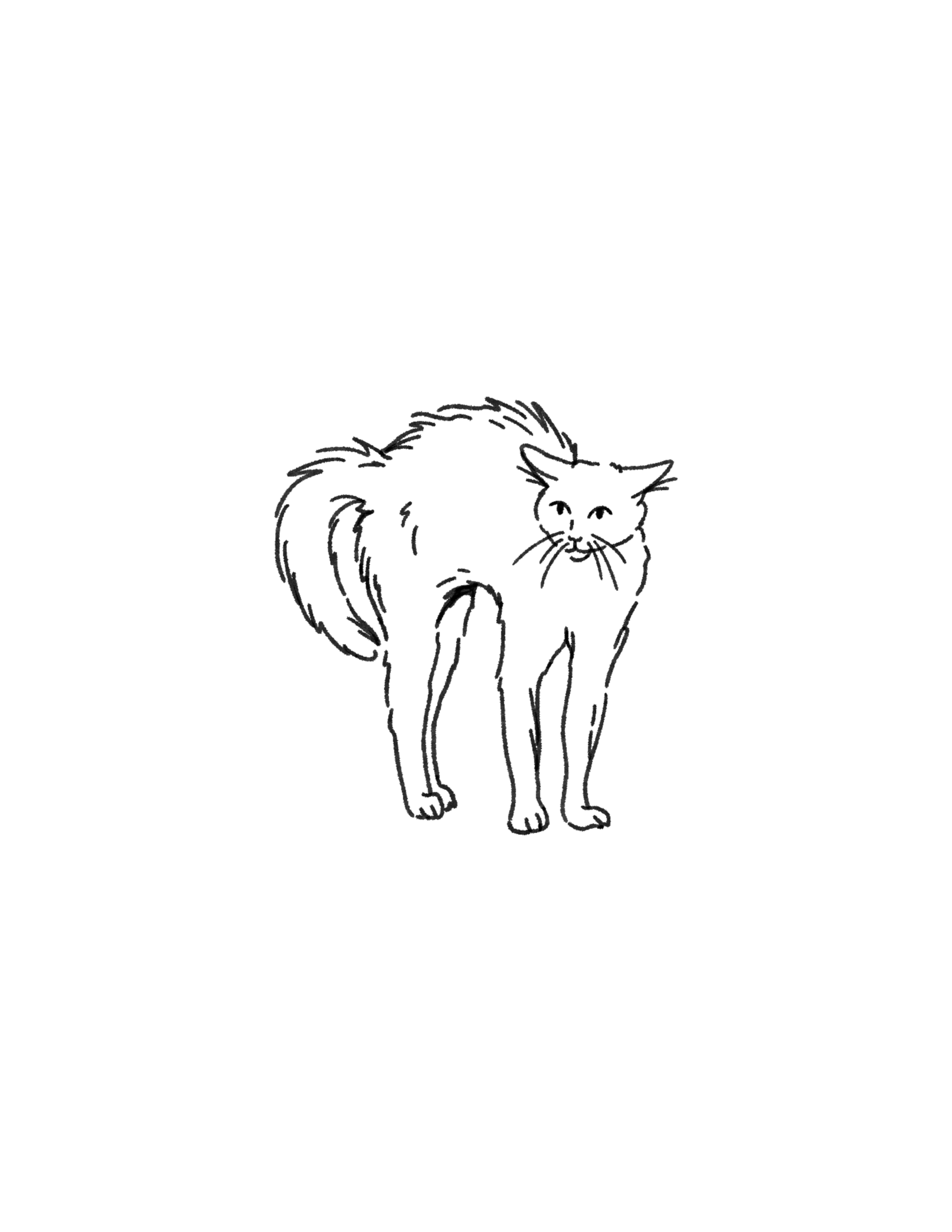 #308 - 3" minimum
