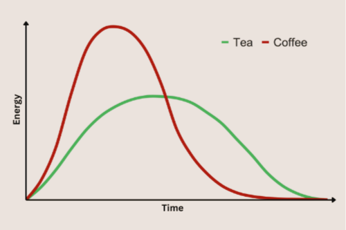 Tee und Koffein - Warum „Teein“ ein Mythos ist und was sonst noch in deiner Tasse steckt