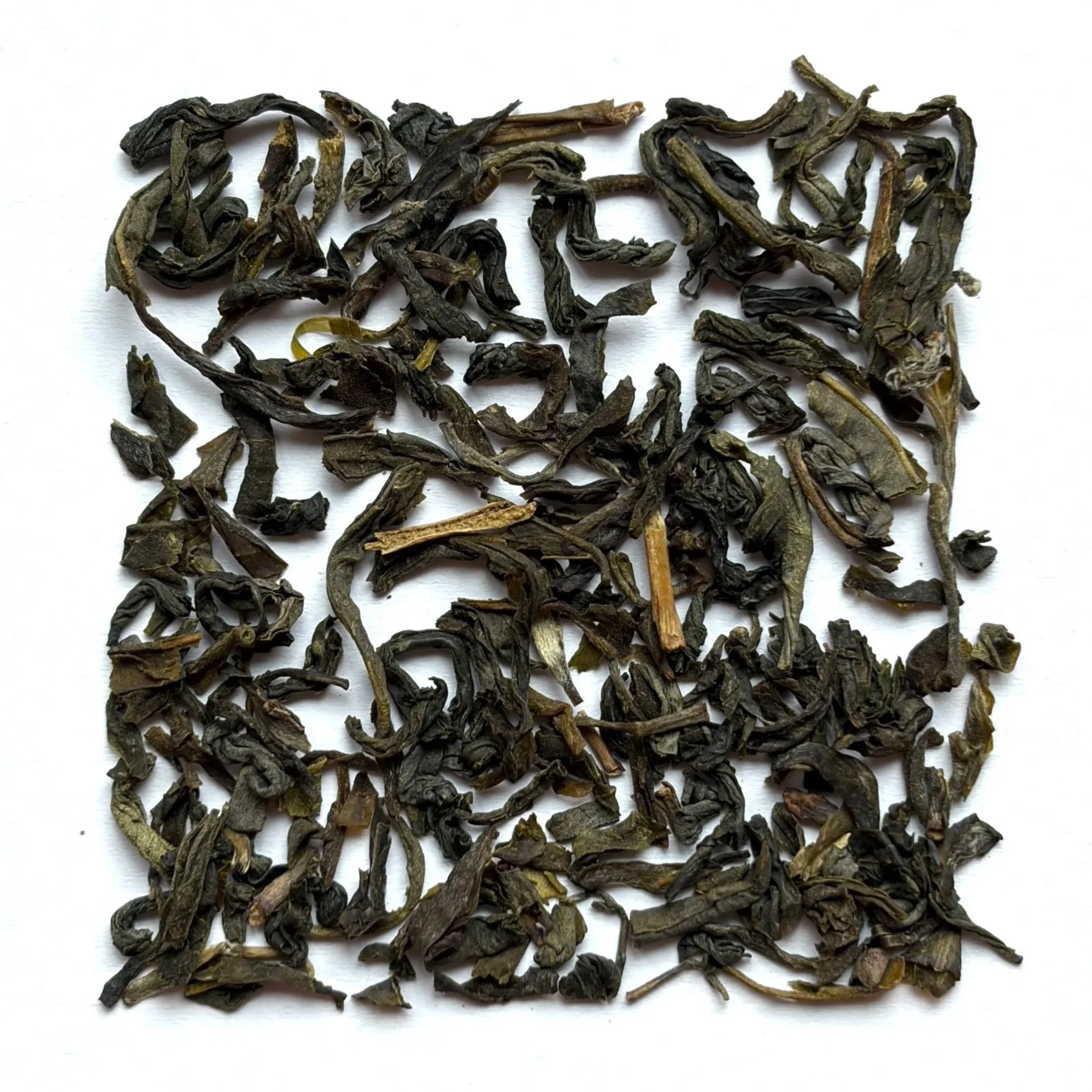 Jasmine Green