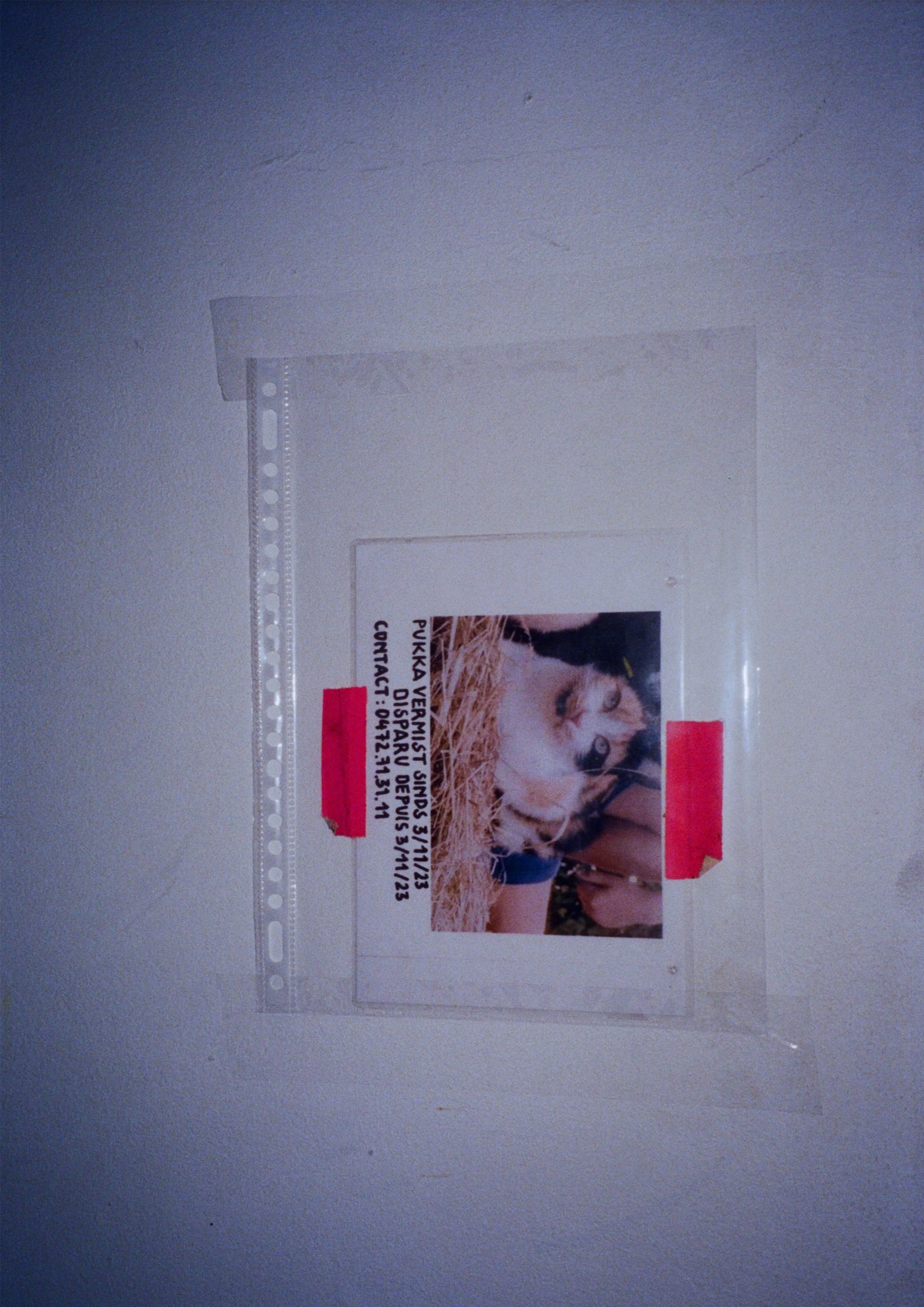 proces4.jpg