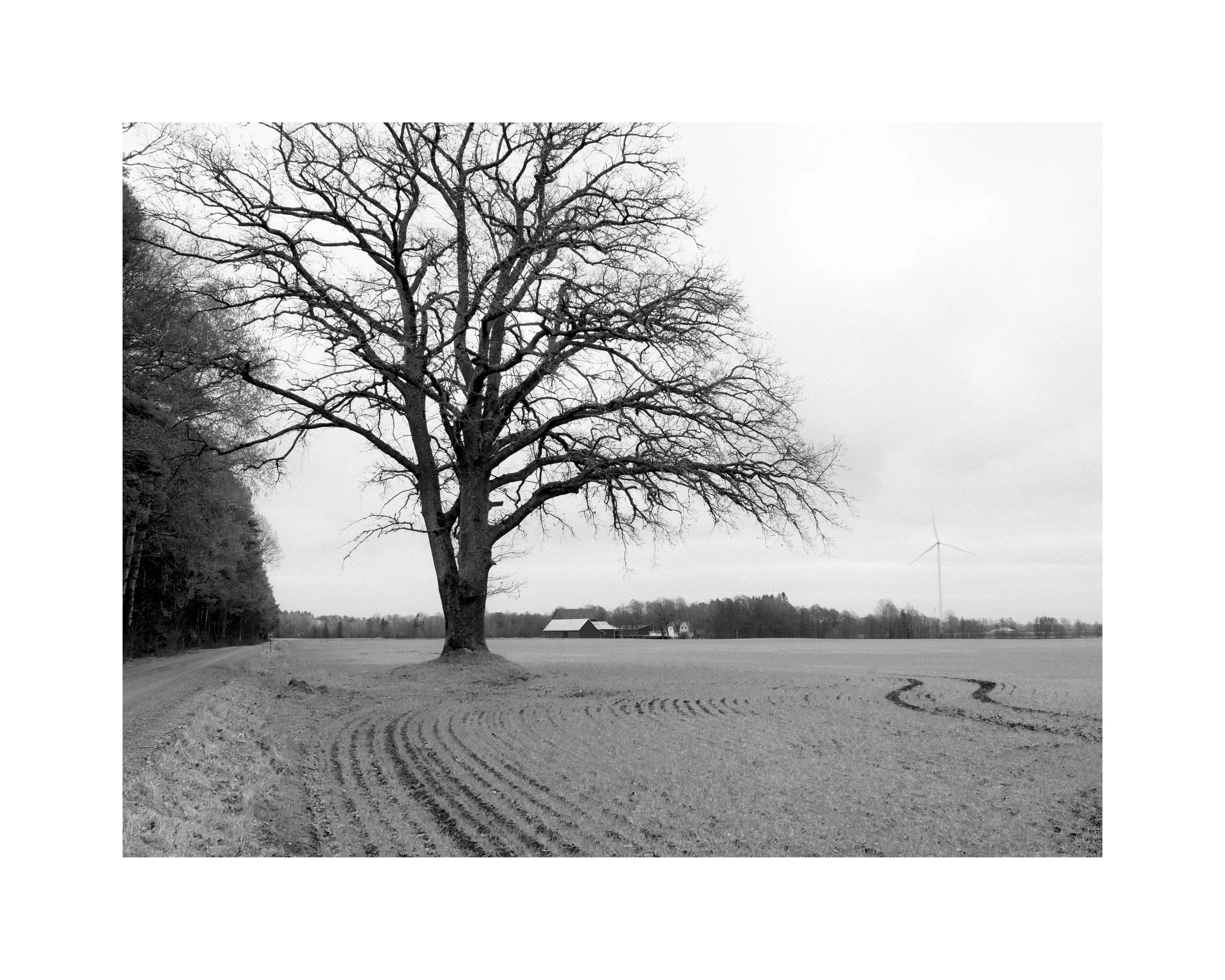 Spåren / The Tracks – From the Exhibition "Mellanrummet" (The Spaces in Between)