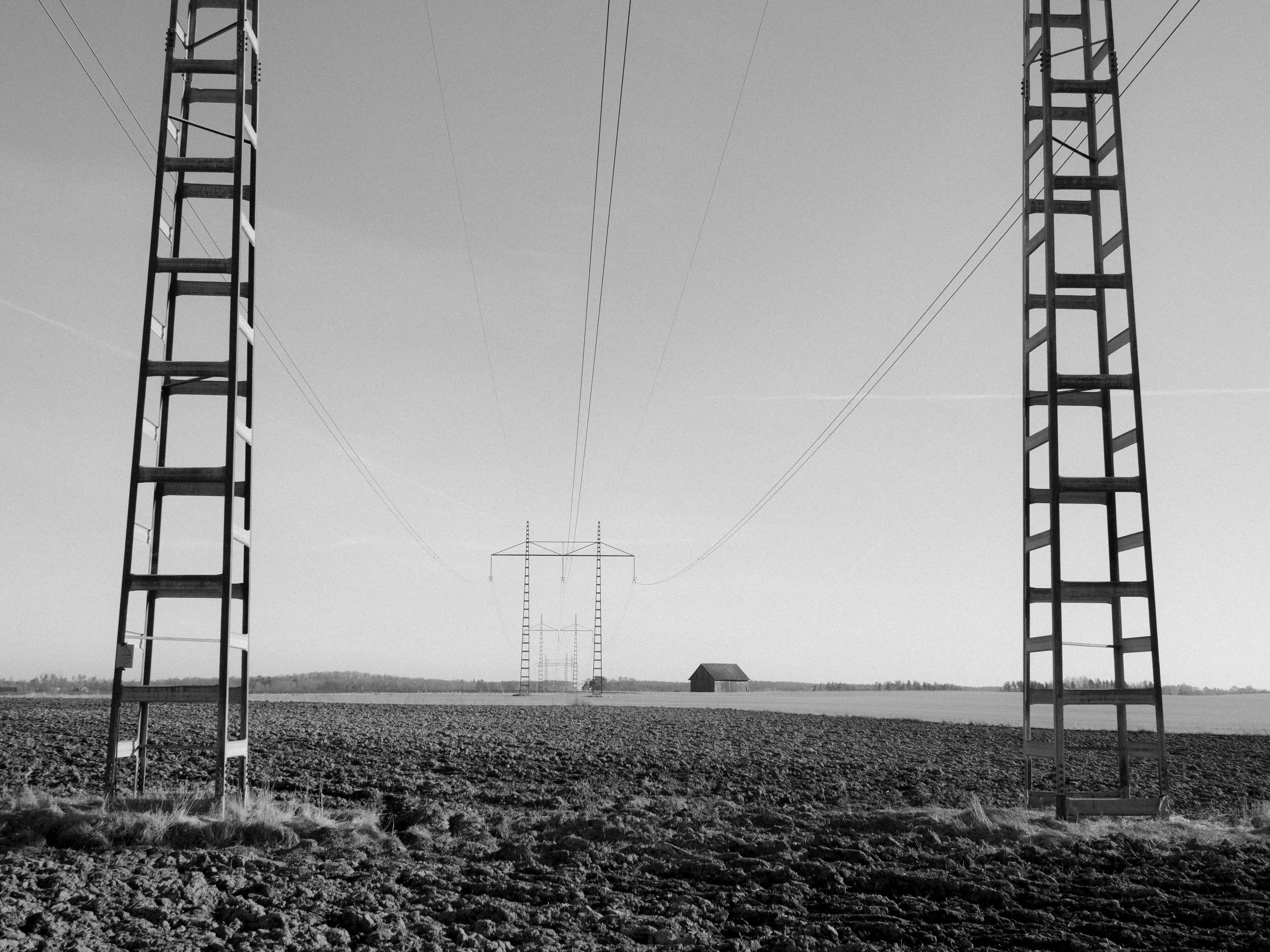 P3220013 copy (1).jpg