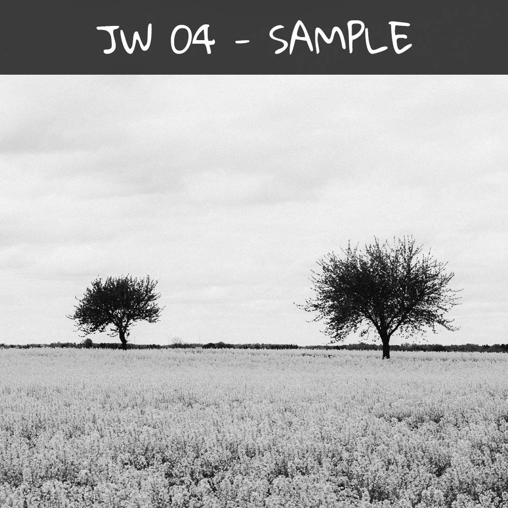 JW 02 sample 4.jpg