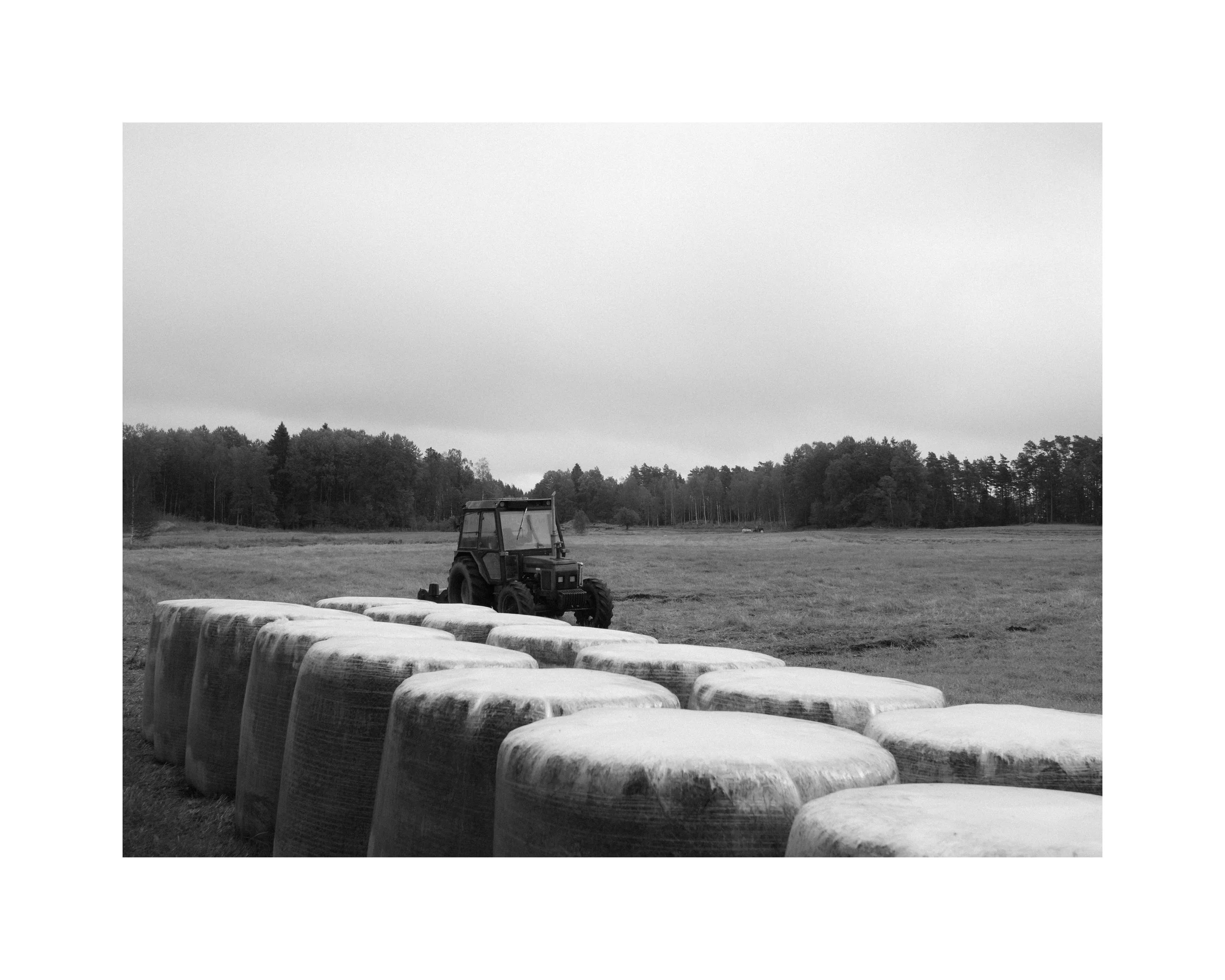 Raden / The Row – From the Exhibition "Mellanrummet" (The Spaces in Between)