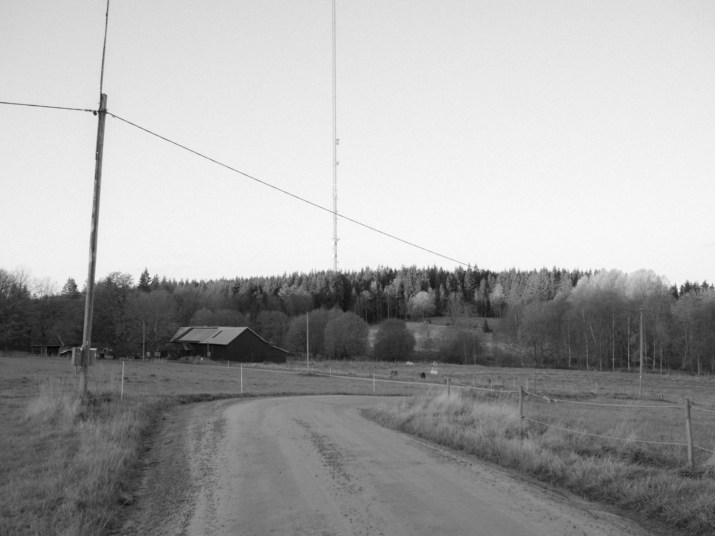 PA190040.jpg