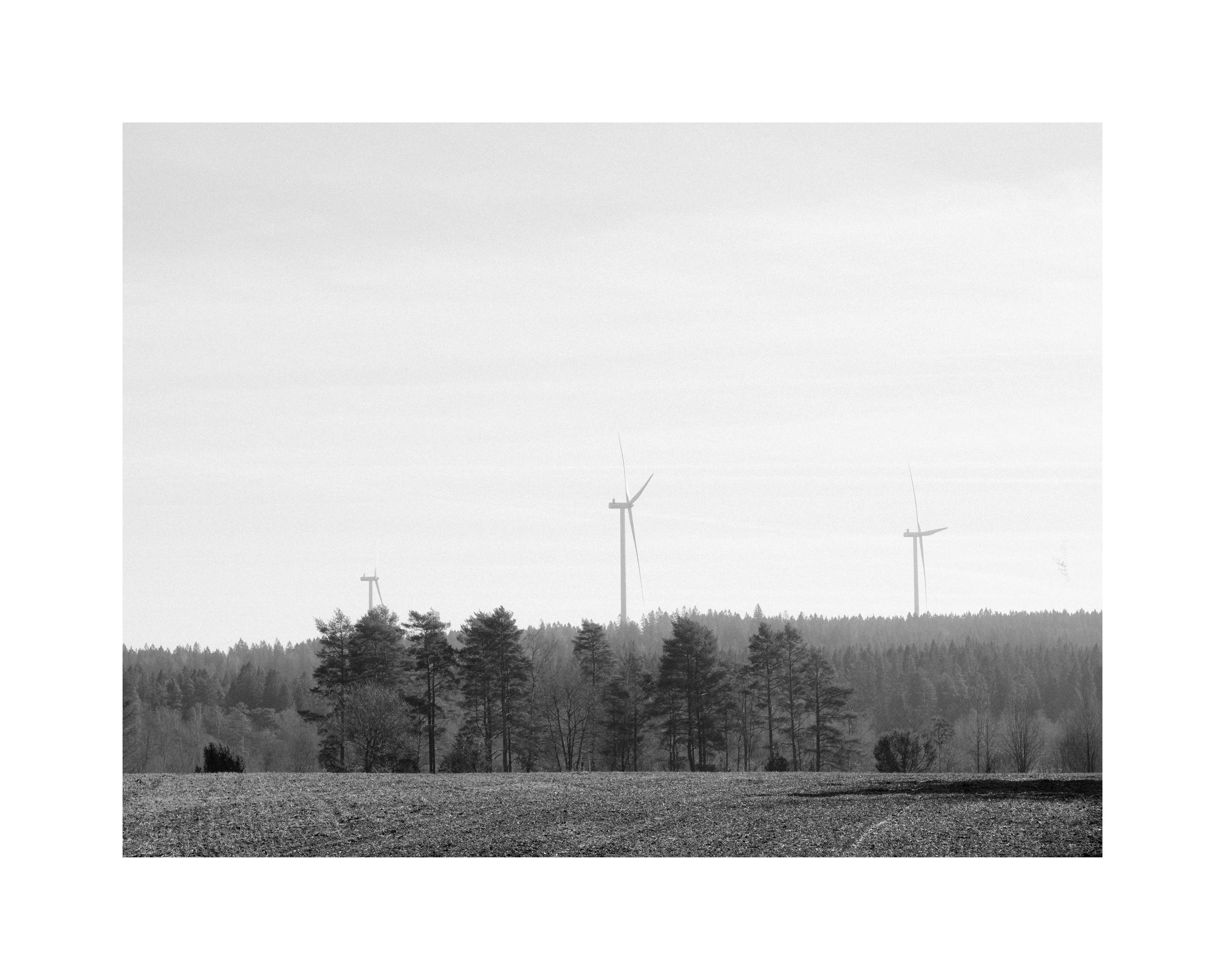 Skogsbrynet / The Forest Edge – From the Exhibition "Mellanrummet" (The Spaces in Between)