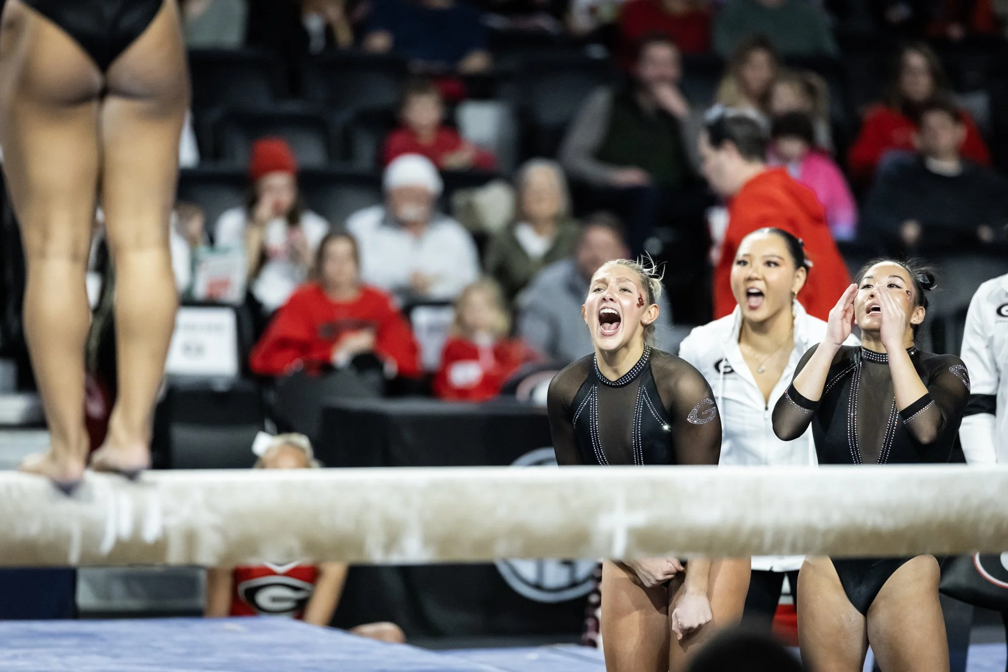 UGA_Gym_20260201_4334.jpg