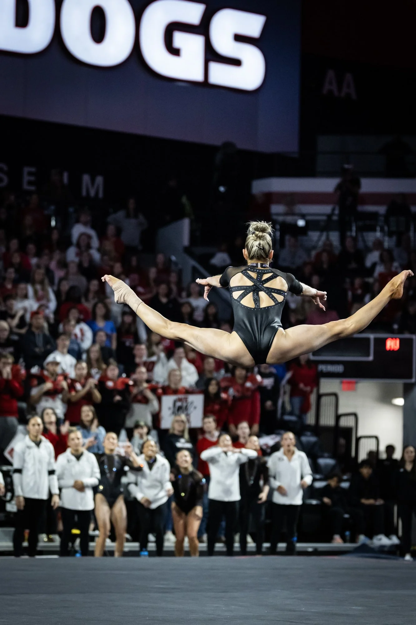 UGA_Gym_20260201_7588.jpg