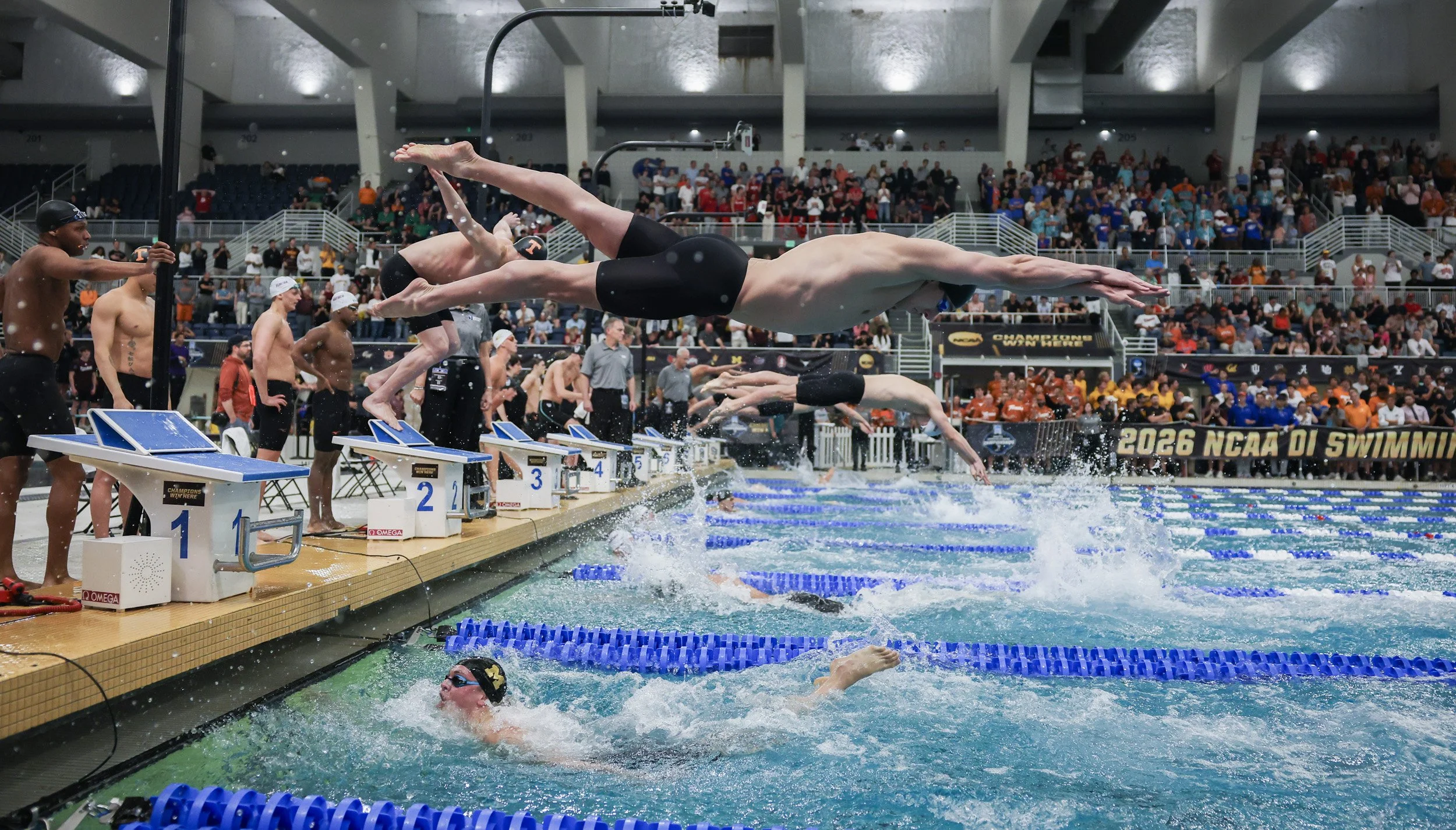 NCAA_SWD_260328_31784.jpg