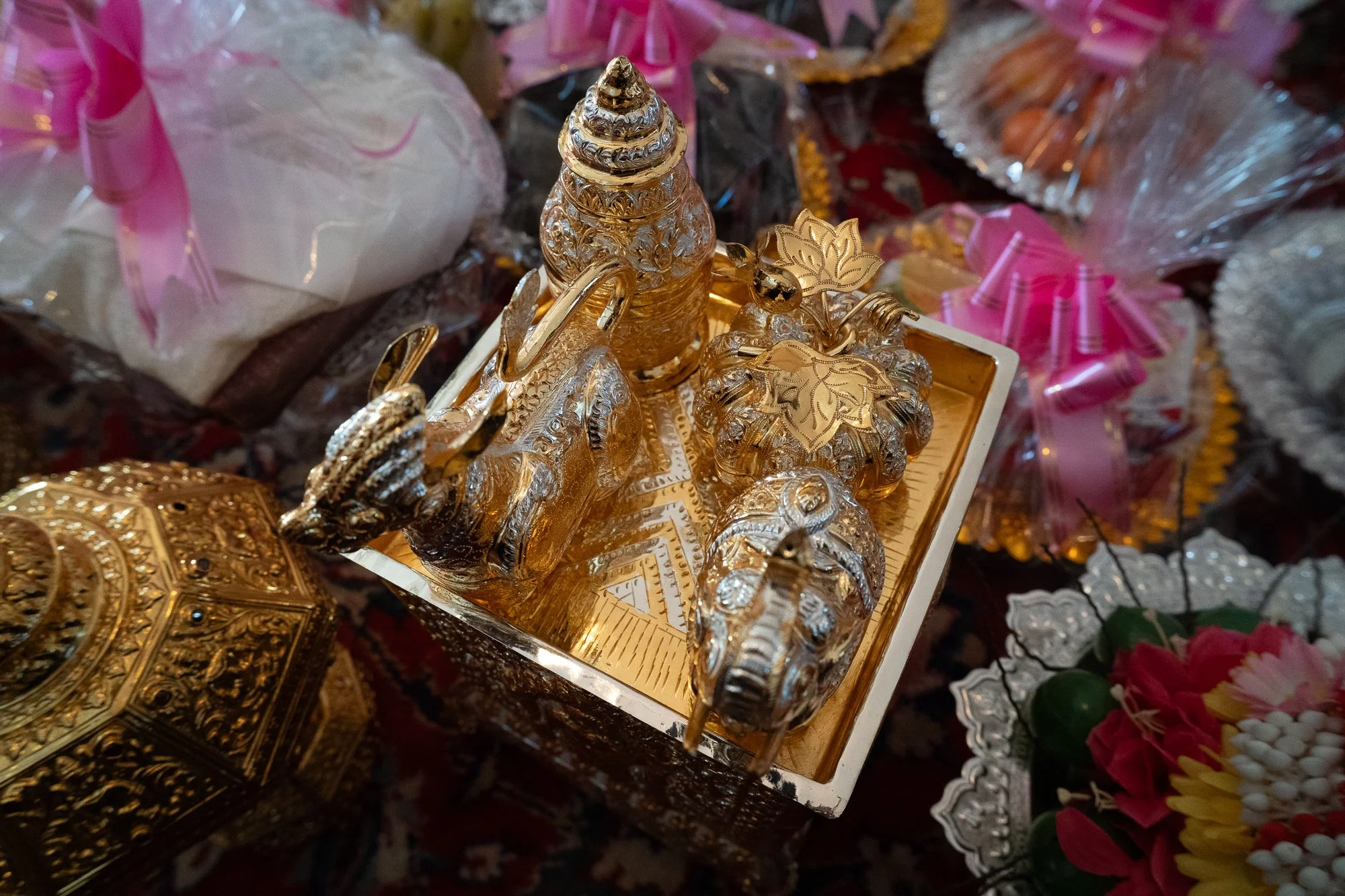 vee.colt-9-Web-Optimized Images-2.jpg