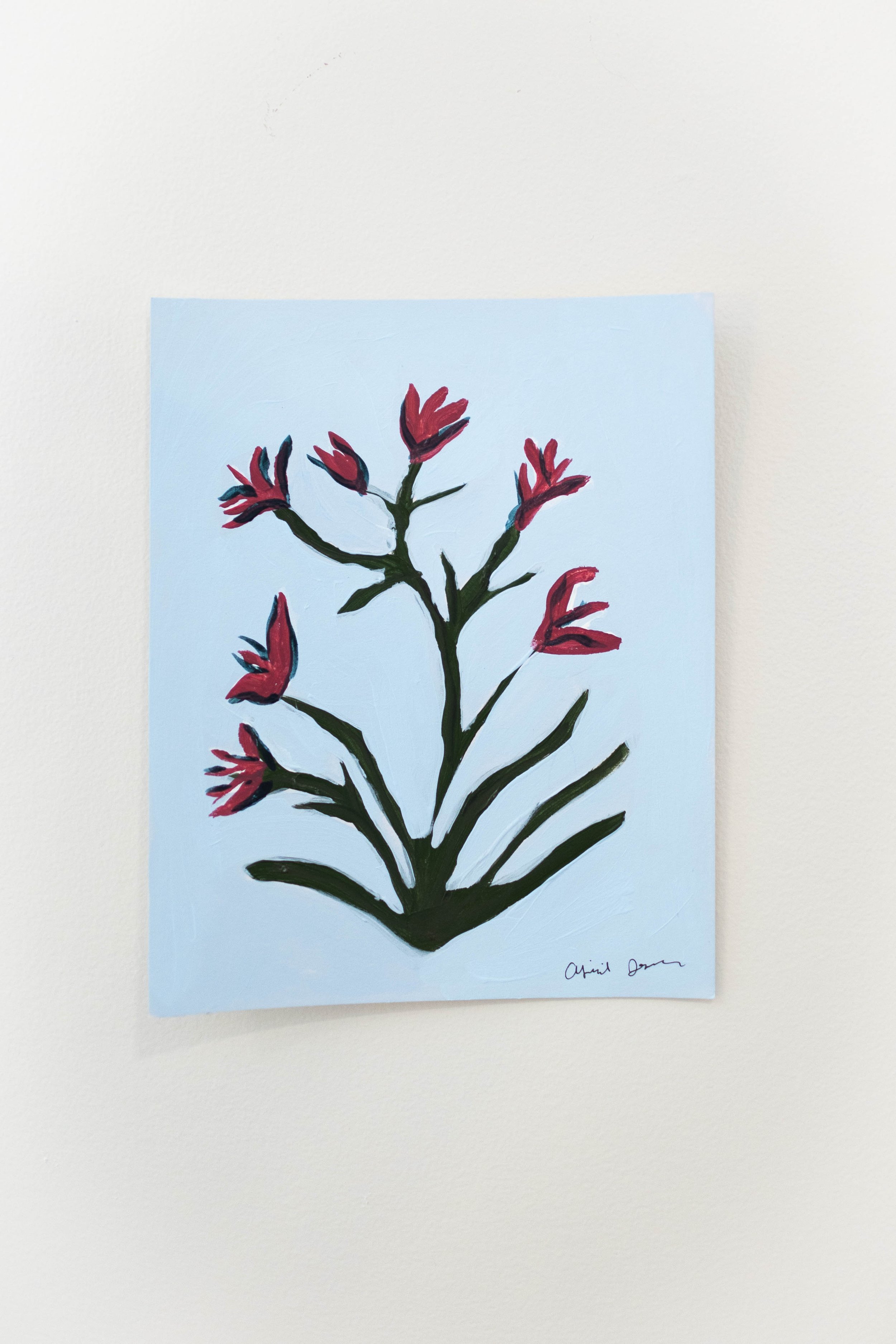 Amaryllis