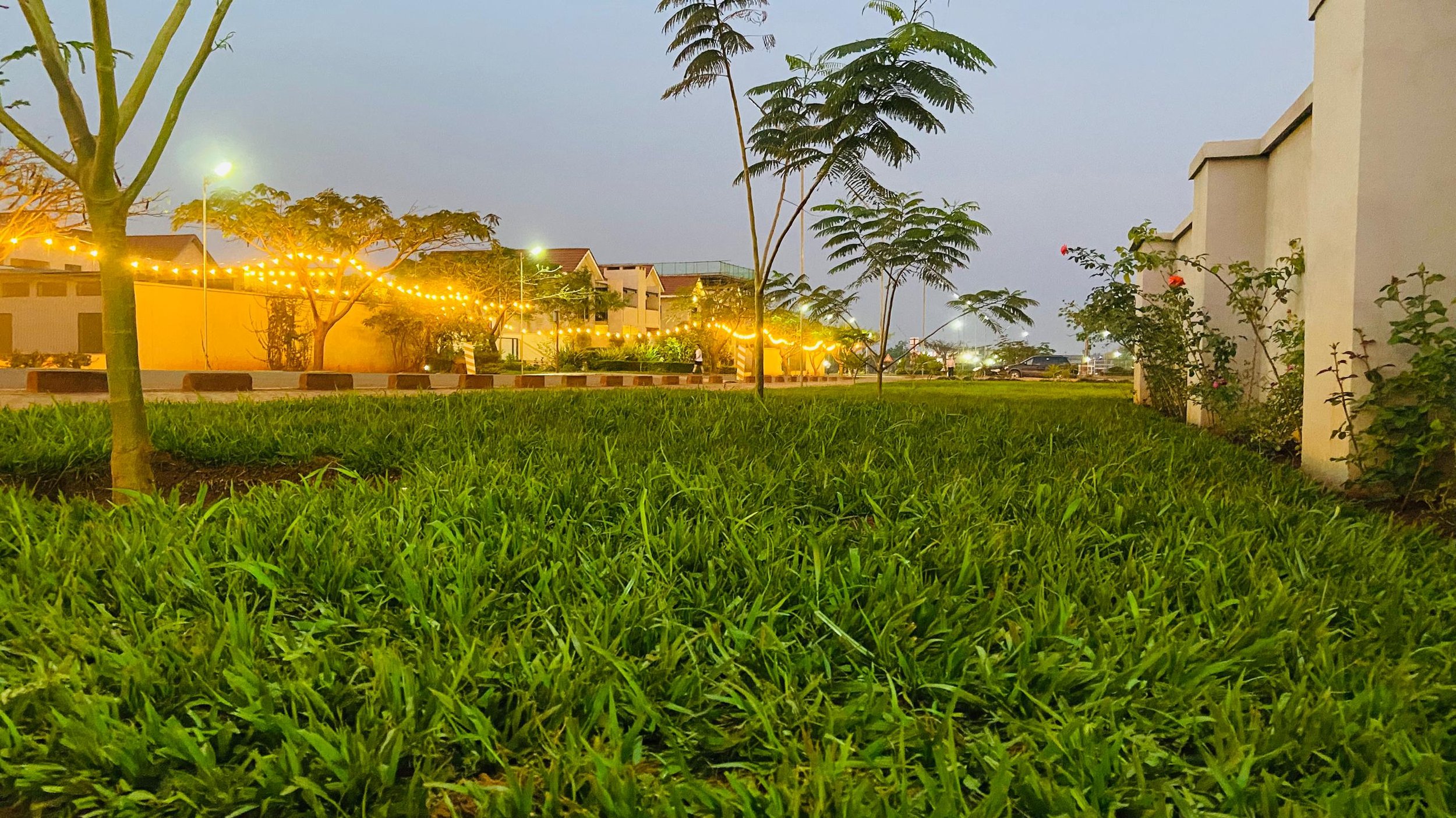 Luano City at night 2025 - 41.48 (1).jpeg