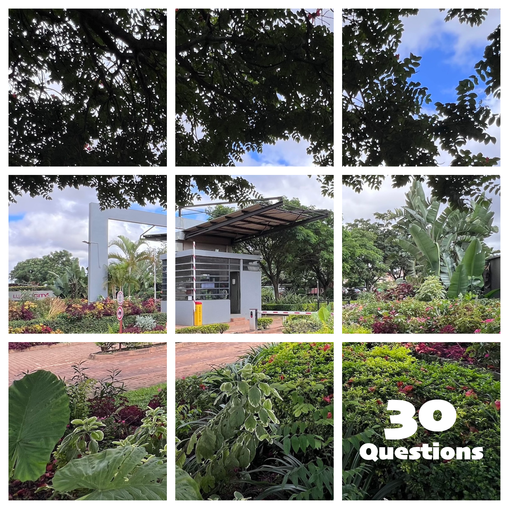 Luano City: 30 Questions