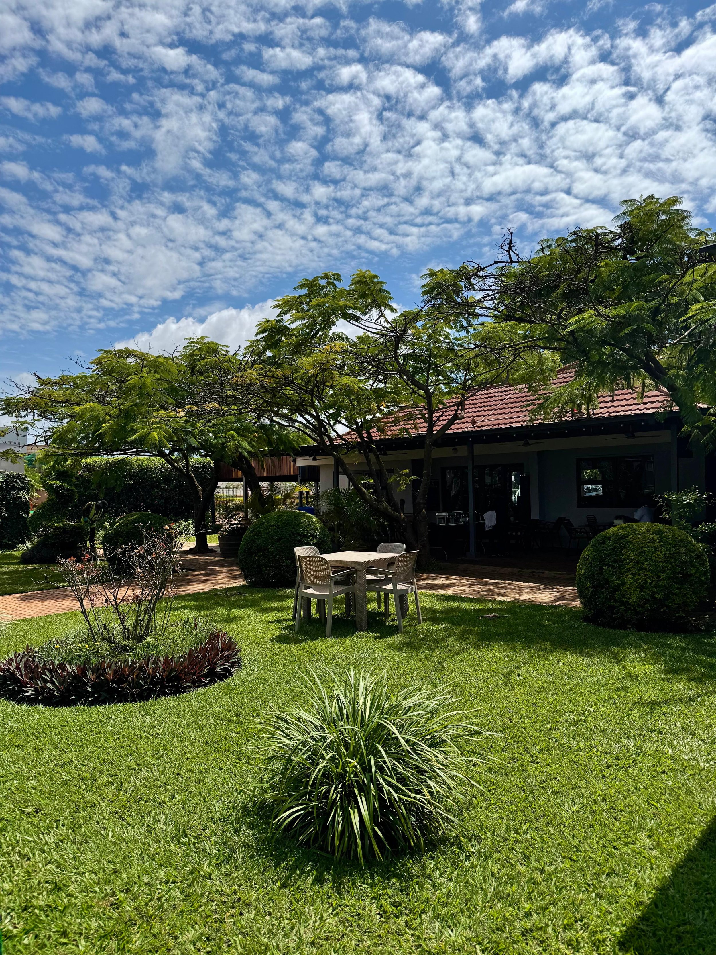 Luano City Gallery daytime photo of the landscape 2026-03-16-07.jpg