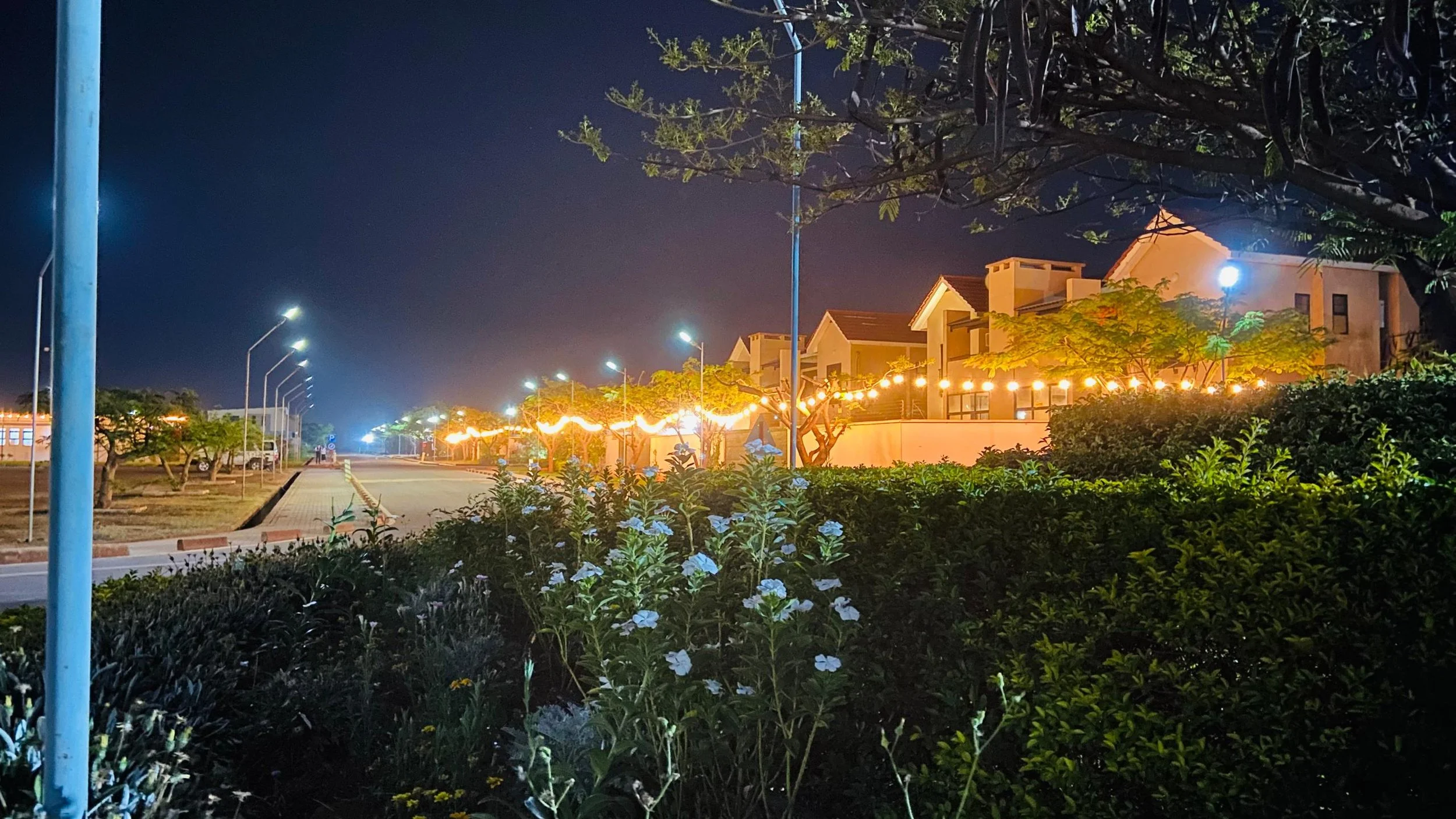 Luano City at night 2025 - 41.19.jpeg