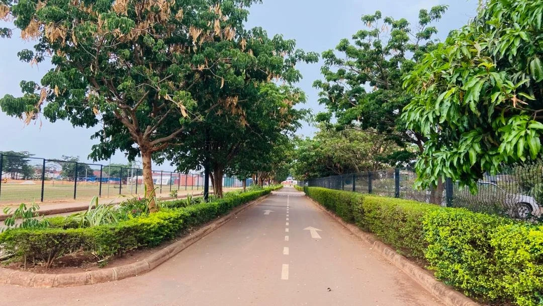 Luano City Day time 2025 -18.11.jpeg