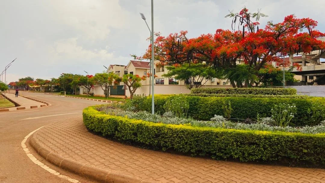 Luano City Day time 2025 -18.10.jpeg