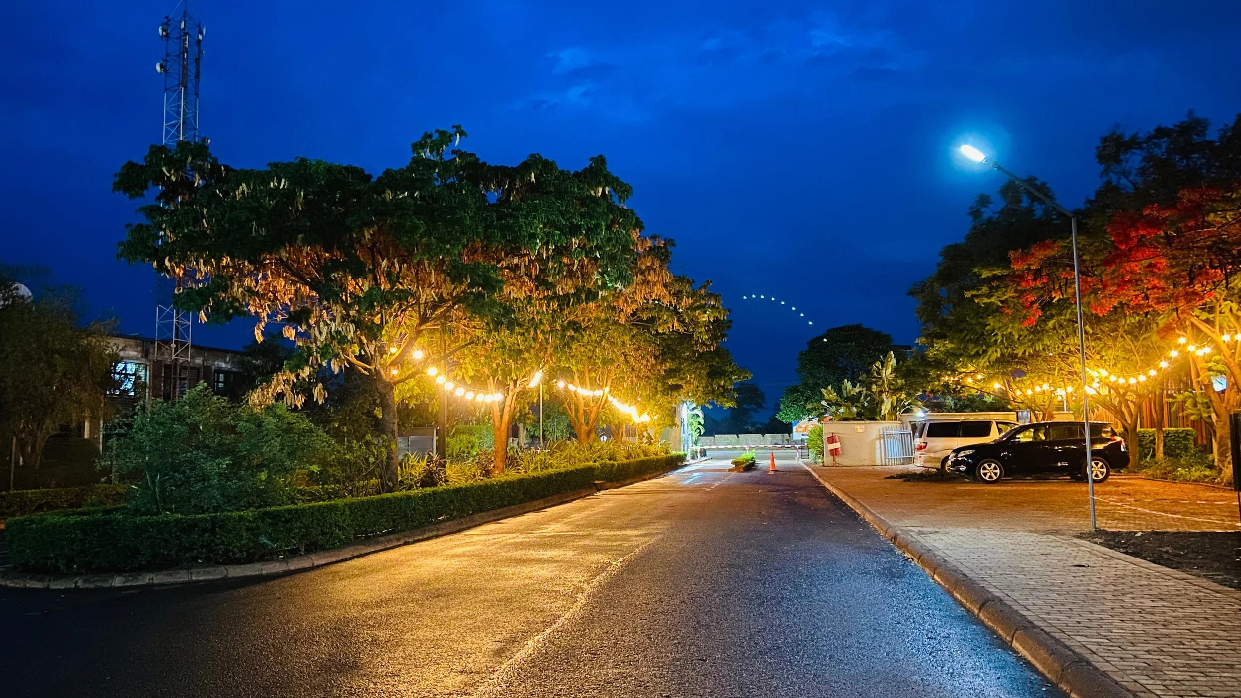 WhatsApp Image 2025-11-08 at 09.17.24.jpeg