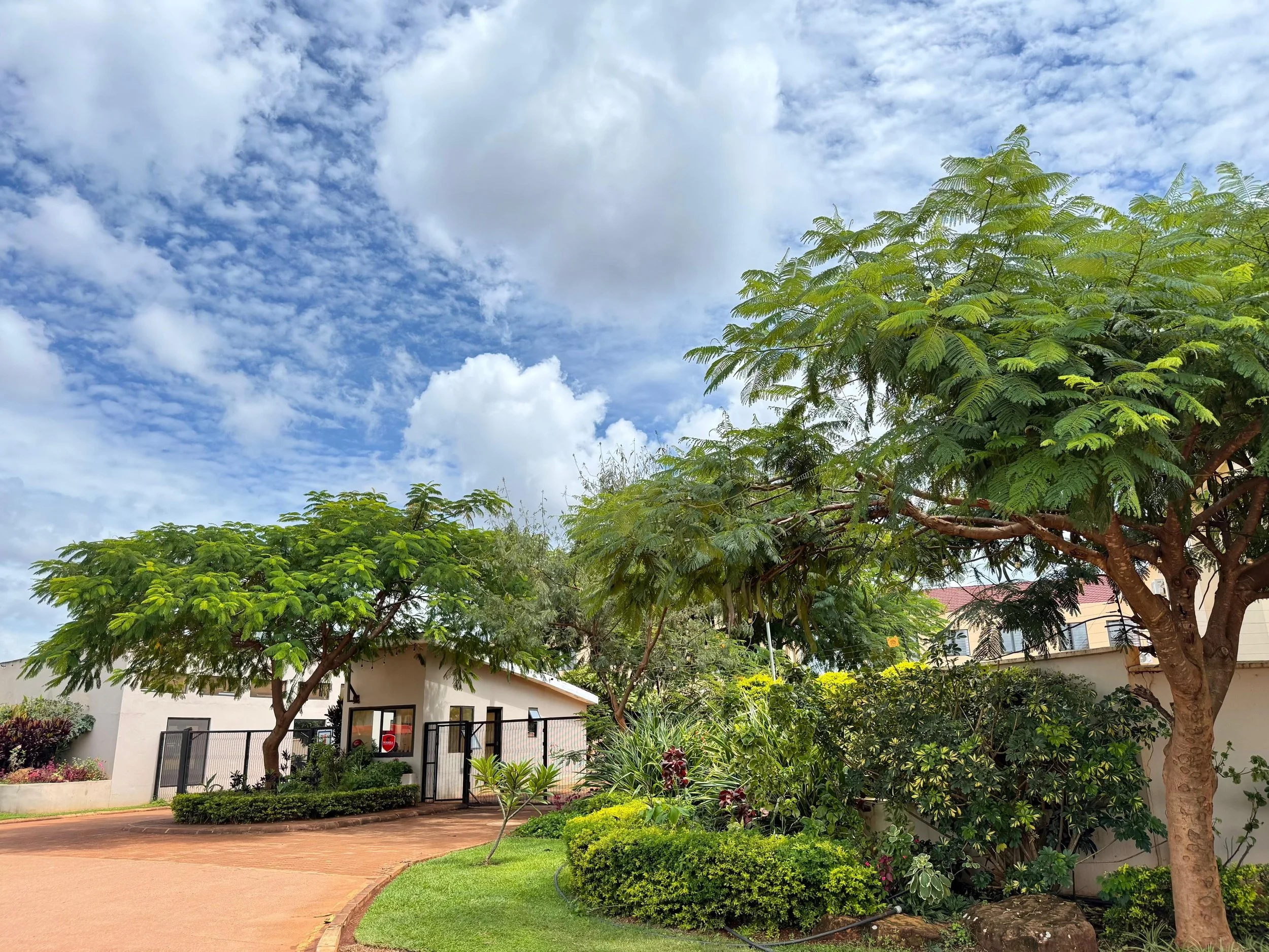 Luano City Gallery daytime photo of the landscape 2026-03-16-05.jpg