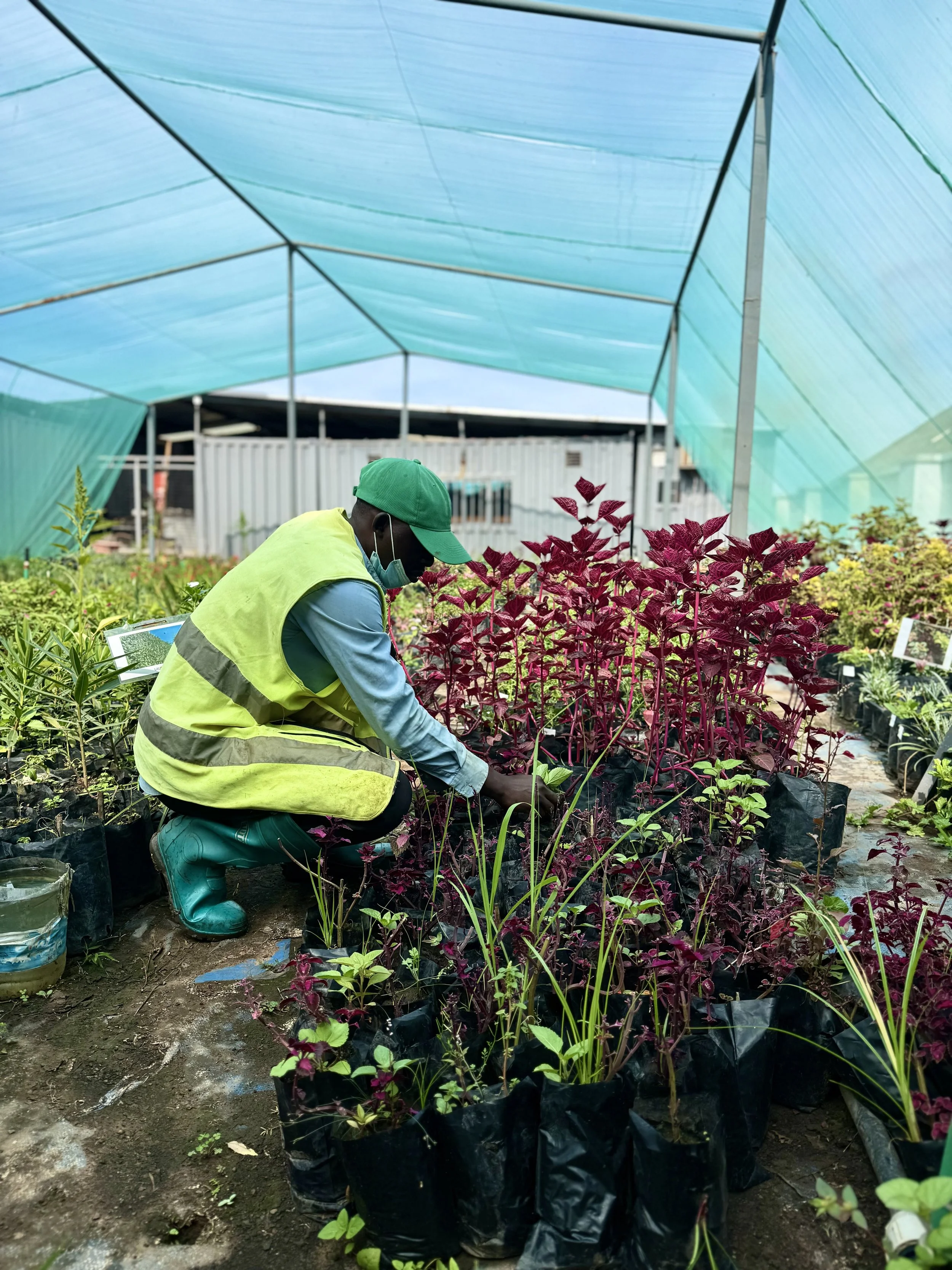 Luano City Gallery daytime photo of the landscape 2026-03-17-03.jpeg