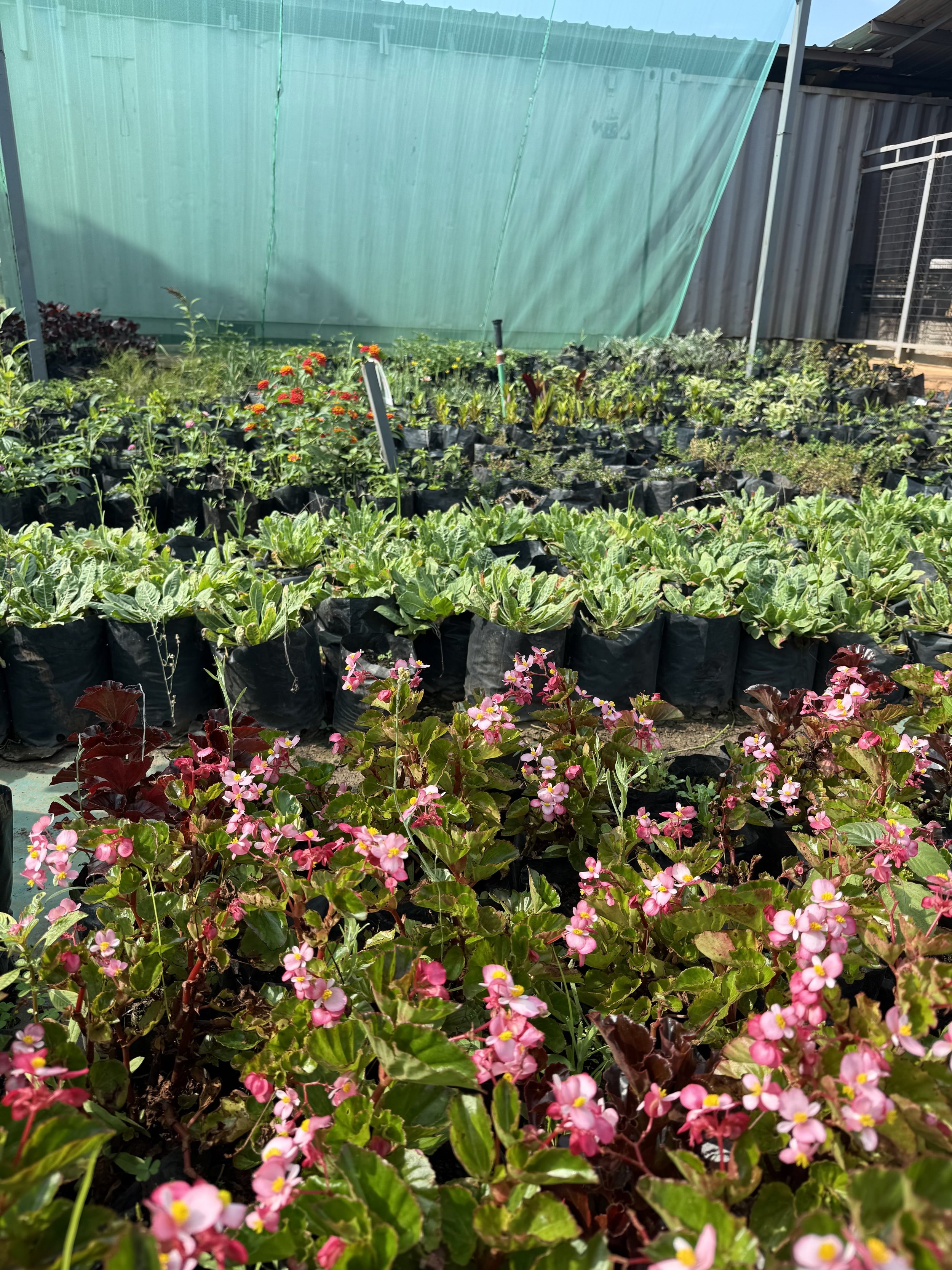 Luano City Gallery daytime photo of the landscape 2026-03-17-04.jpeg