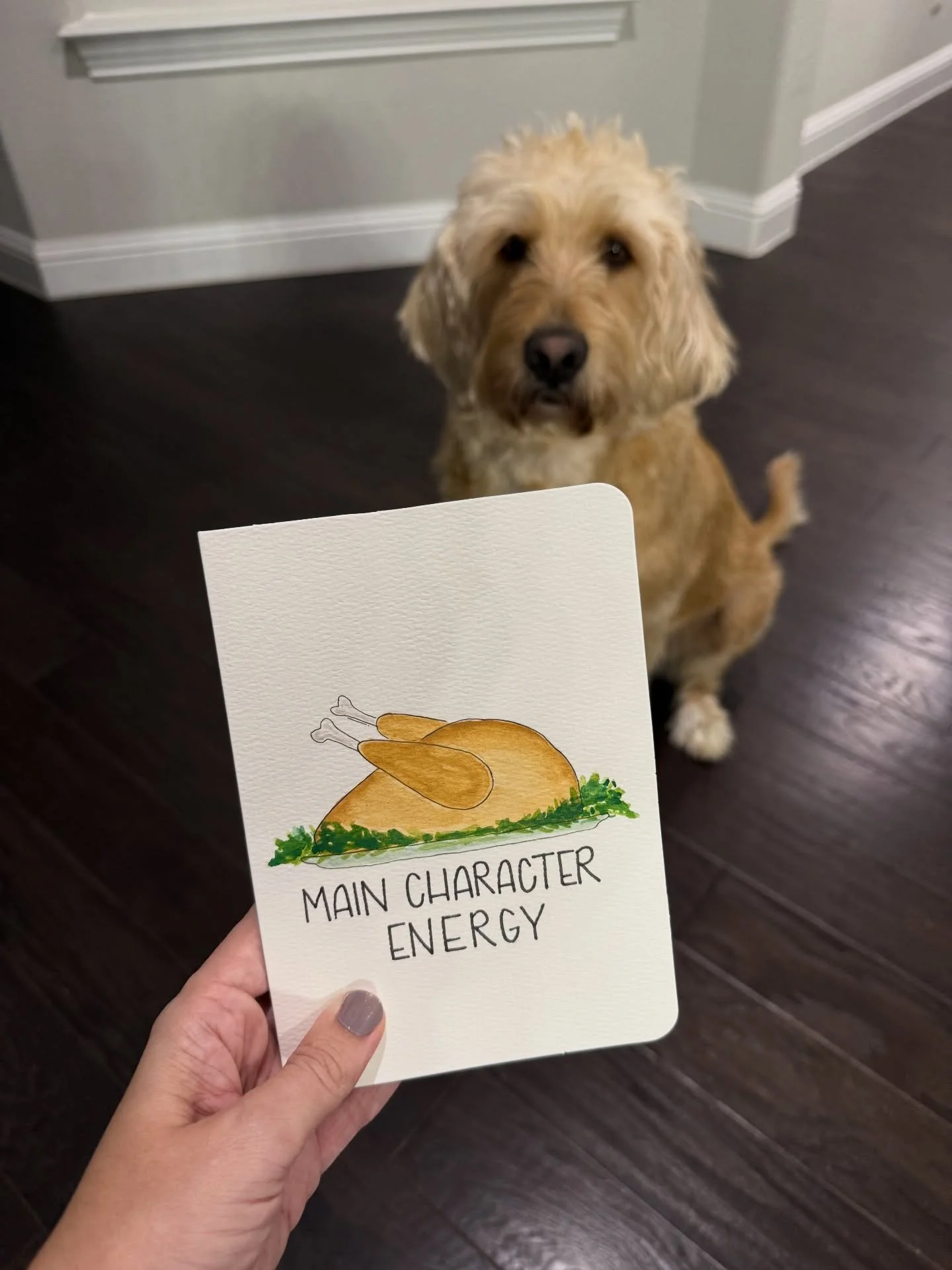 Maggie brings that main character energy, and she&rsquo;ll never let you forget it! 😂🦃🐾 the countdown to turkey day is on! 💌📬