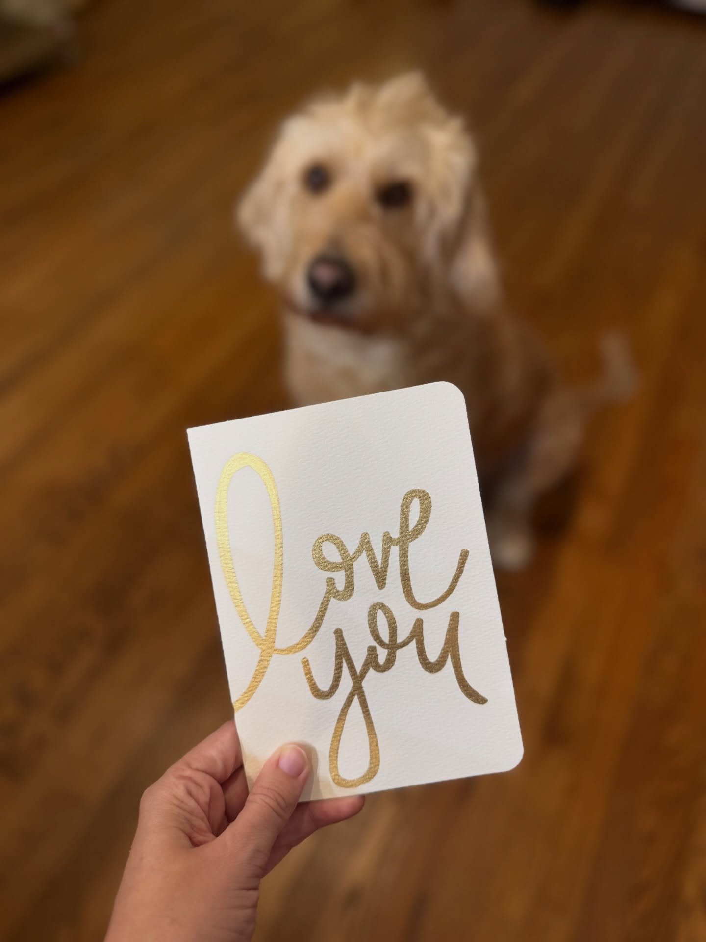 love you, mean it! ❤️ spent the weekend working on some Valentine&rsquo;s Day prep - Maggie is thrilled 🤣💌📬