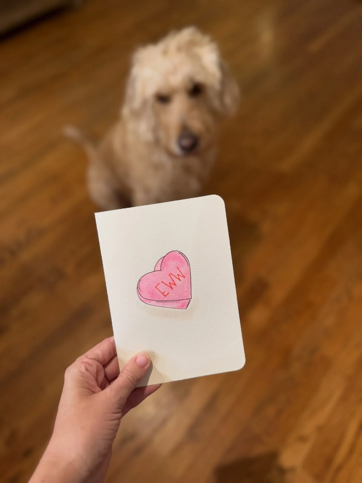 A Valentine&rsquo;s Day card preview is up on Instagram stories - have you submitted your vote? 😍 This one is a fan favorite front runner! More conversation hearts and dogs are on the way! 🩷💌📬