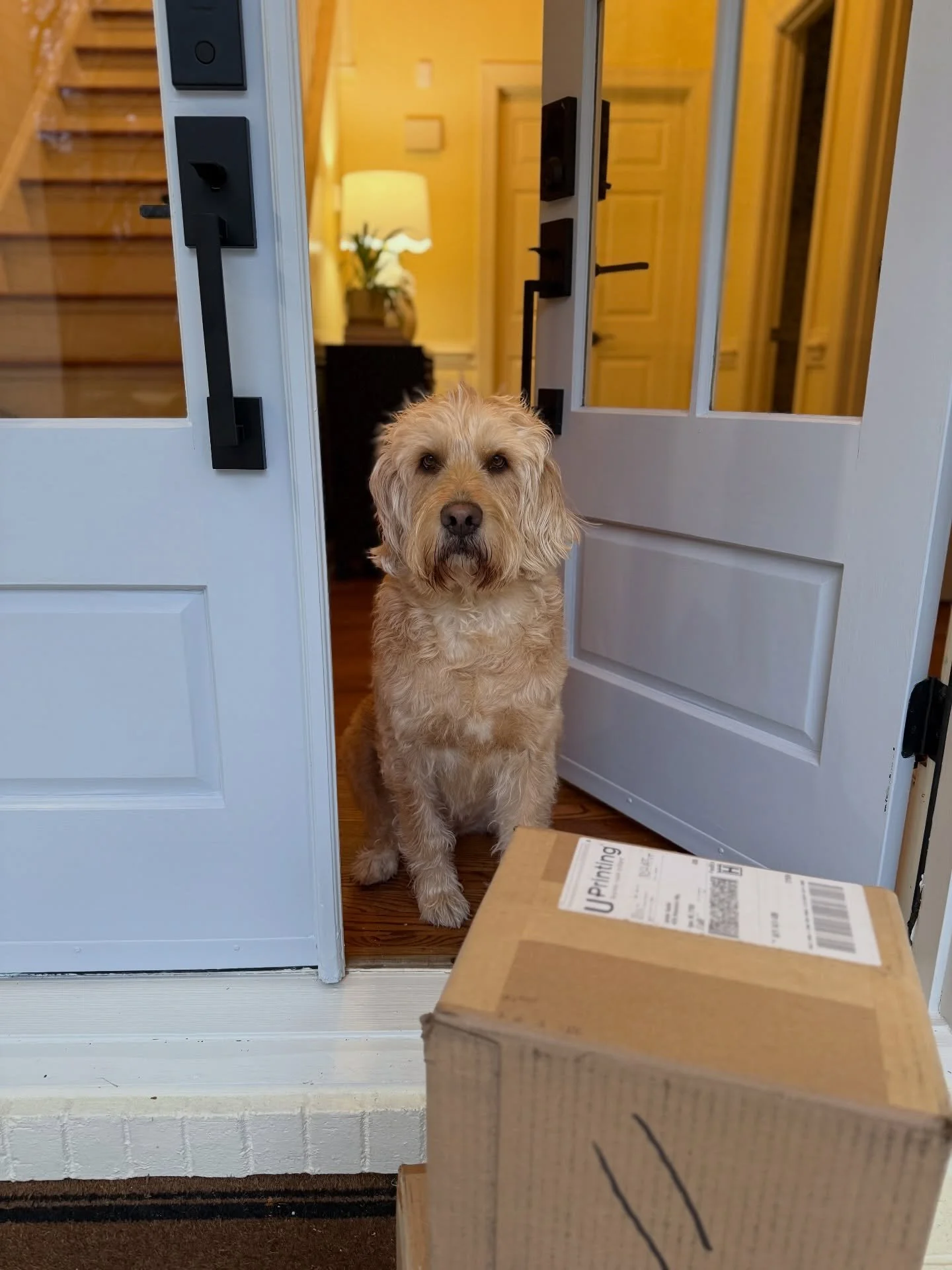 Maggie and I have been working on something special the last few months, and it&rsquo;s hard to believe this is real life! 😍 stay tuned for behind the scenes content - YTP is headed to Super Bowl LX! 💌📬

#handpainted #superbowllx #stationery