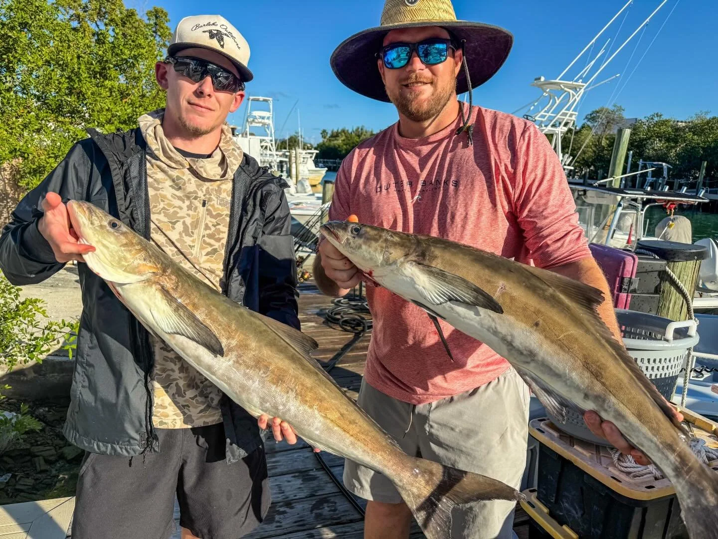 Marathon cobia showing up strong 💪 Clients hooked up and smiles all around. Plan your January getaway and save $75 using code BOOKJAN2026 when you book direct 🙌🎣☀️
#MarathonFlorida #FloridaKeys #Cobia #CobiaFishing #KeysFishing #OffshoreFishing #I