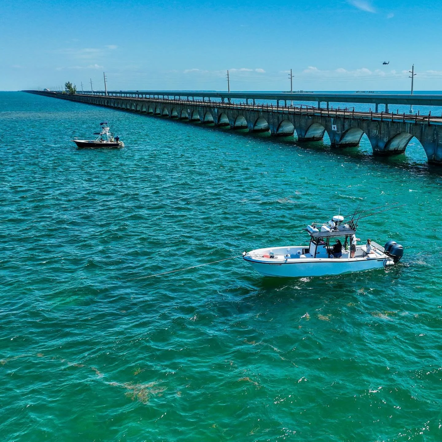Iconic Keys Vibes 🌴 
Anchored up by Fred the Tree with the Seven Mile Bridge stretching behind us 🌊🎣
Only in the Florida Keys.
Only with Hennessy Sportfishing.
Let&rsquo;s bend some rods. 📍Marathon, Florida 
#HennessySportfishing #SevenMileBridge