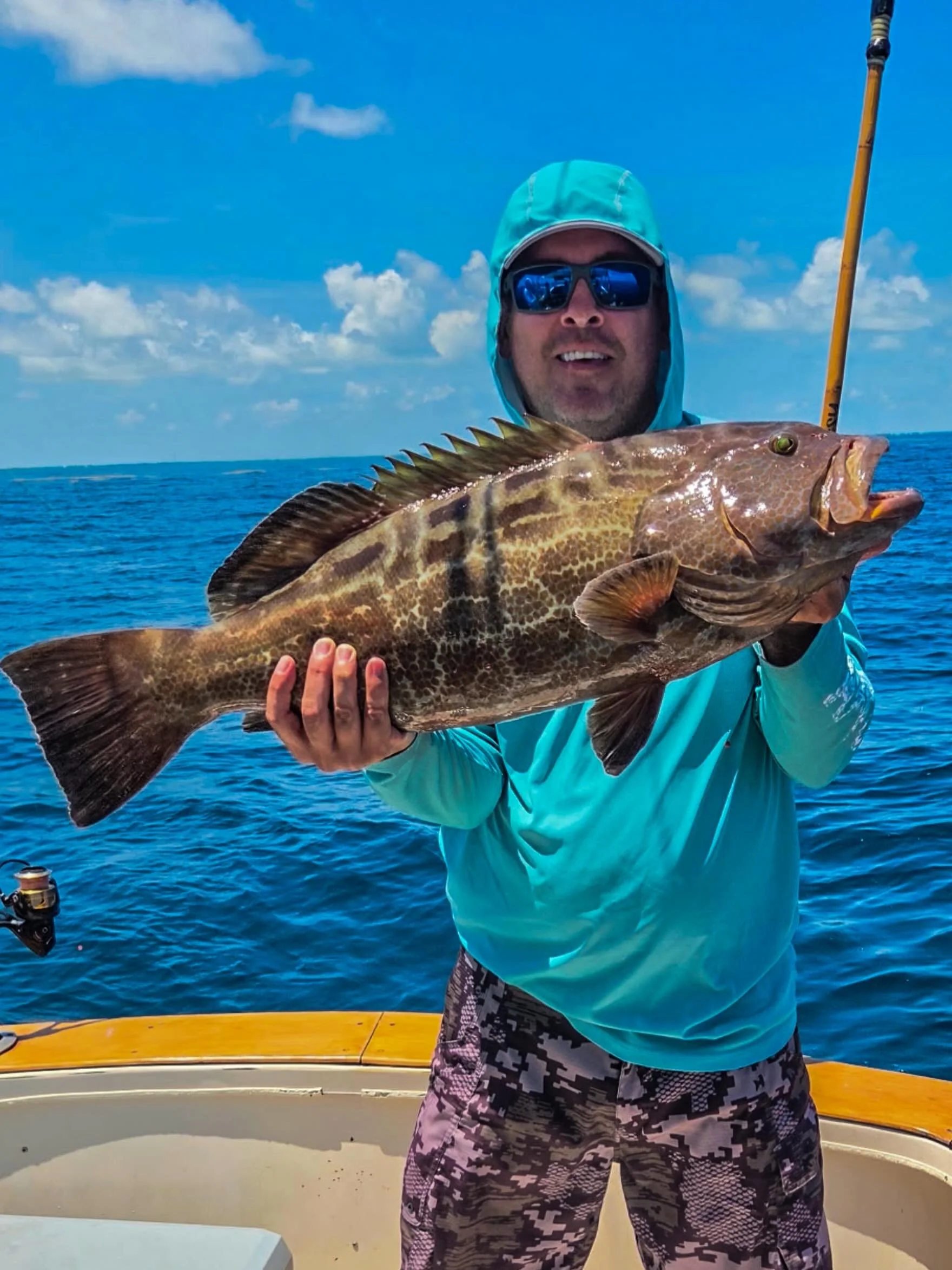 Black Grouper ✅ #marathon #FloridaKeys #Grouper #HennessySportfishing