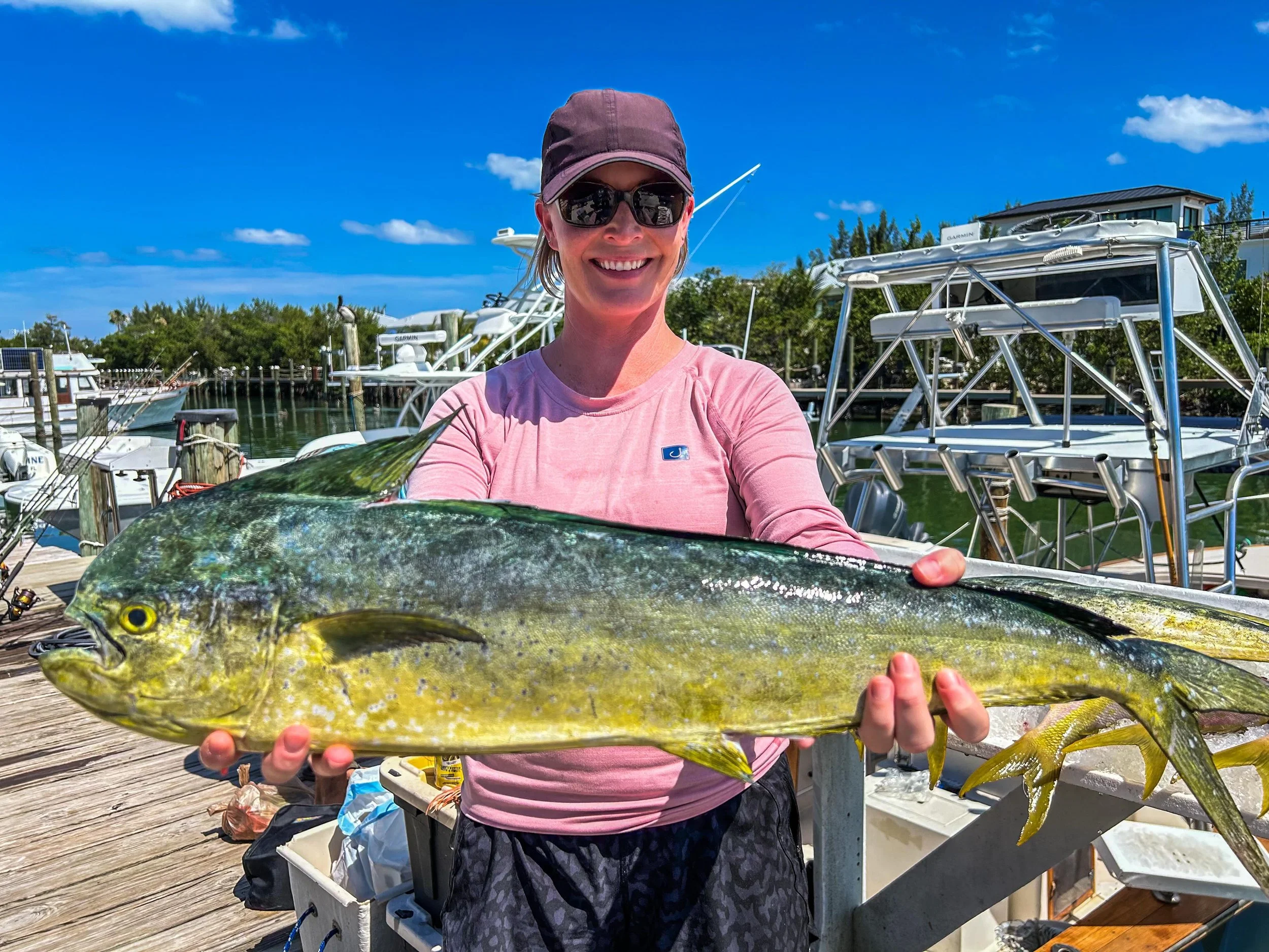 Fun fact: Mahi-mahi can change colors in seconds &mdash; flashing electric blues, greens, and golds when excited or freshly caught. That&rsquo;s why they&rsquo;re also called &lsquo;dolphinfish&rsquo;&hellip; and no, they&rsquo;re not related to dolp