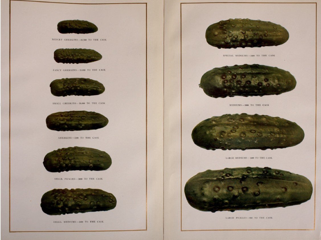 Various pickle sizes and how many fit into a cask.